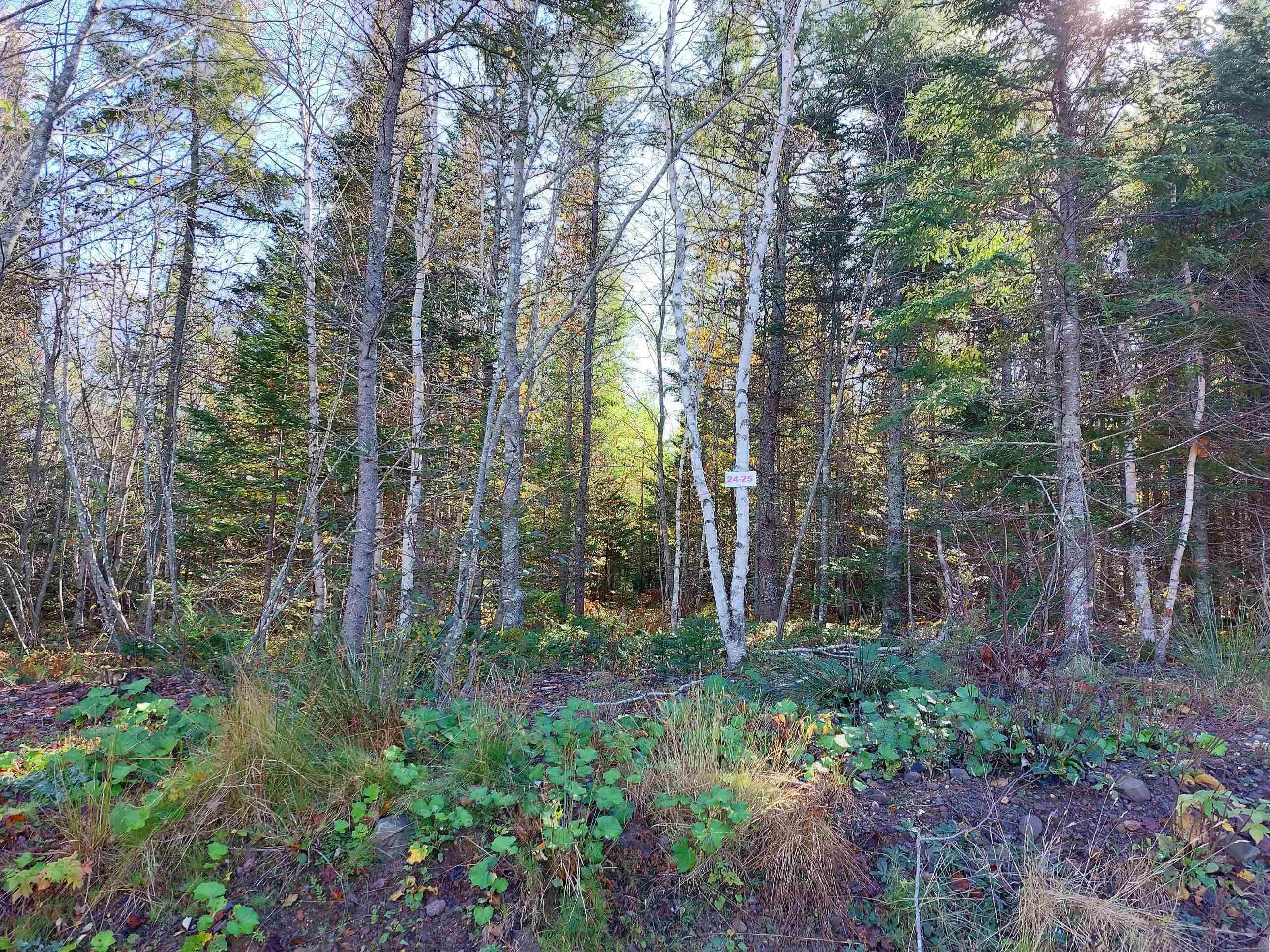 $29,000.00: Lot 25 Beaver Lane, Grantville
