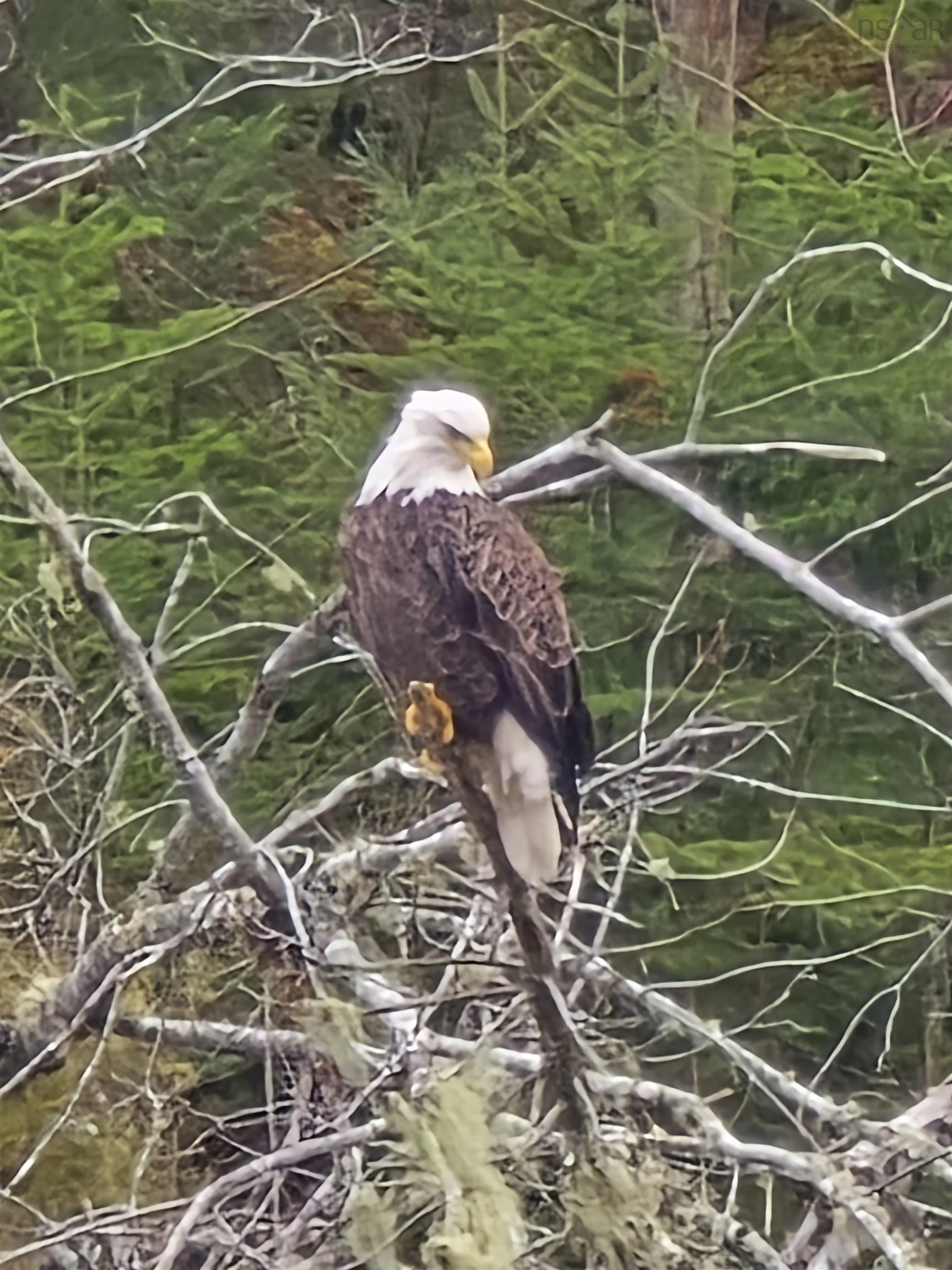 $876,000.00: 5295 Route 316, Charlos Cove