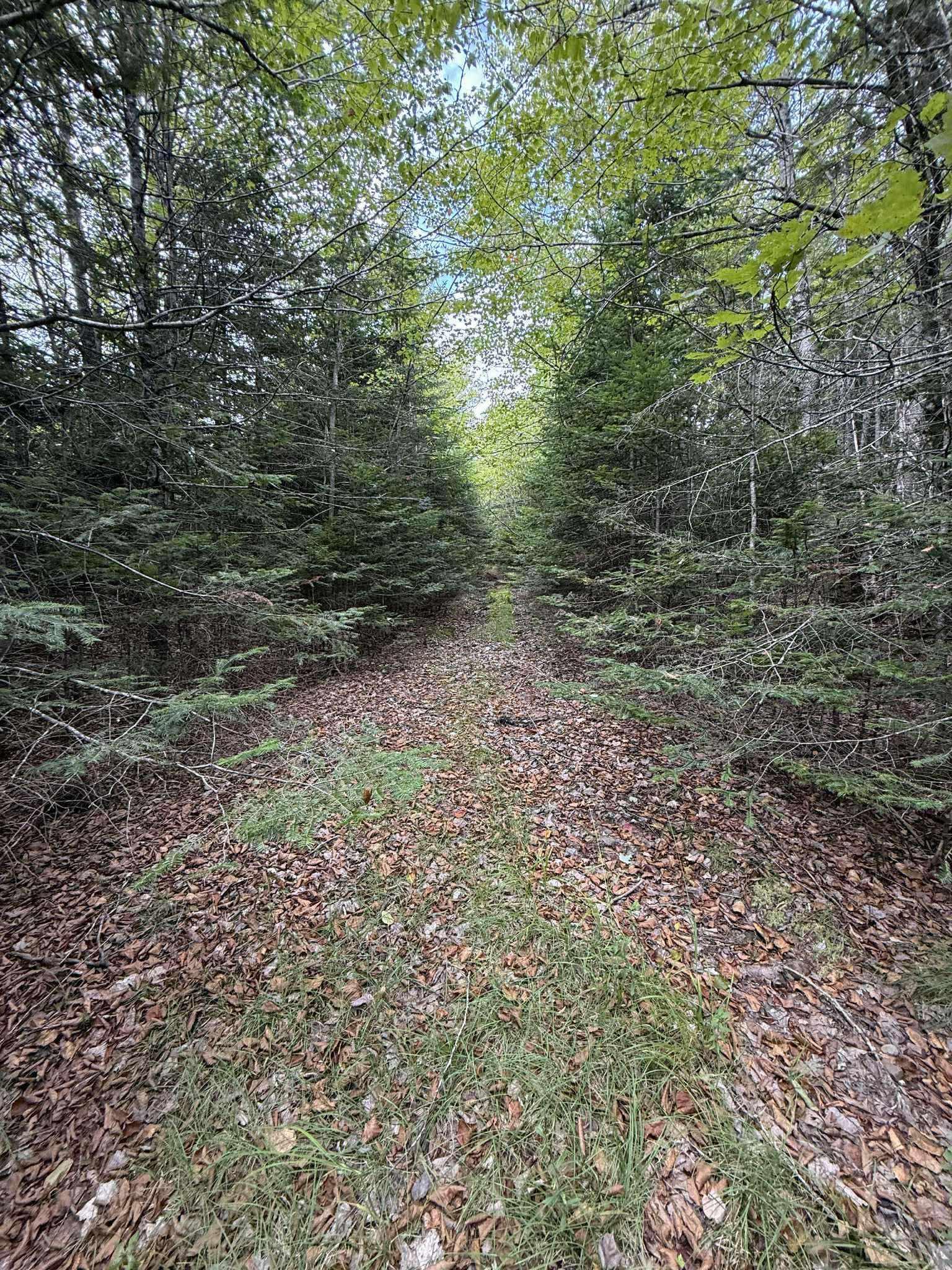 $699,900.00: 721 Indian Road, Nine Mile River