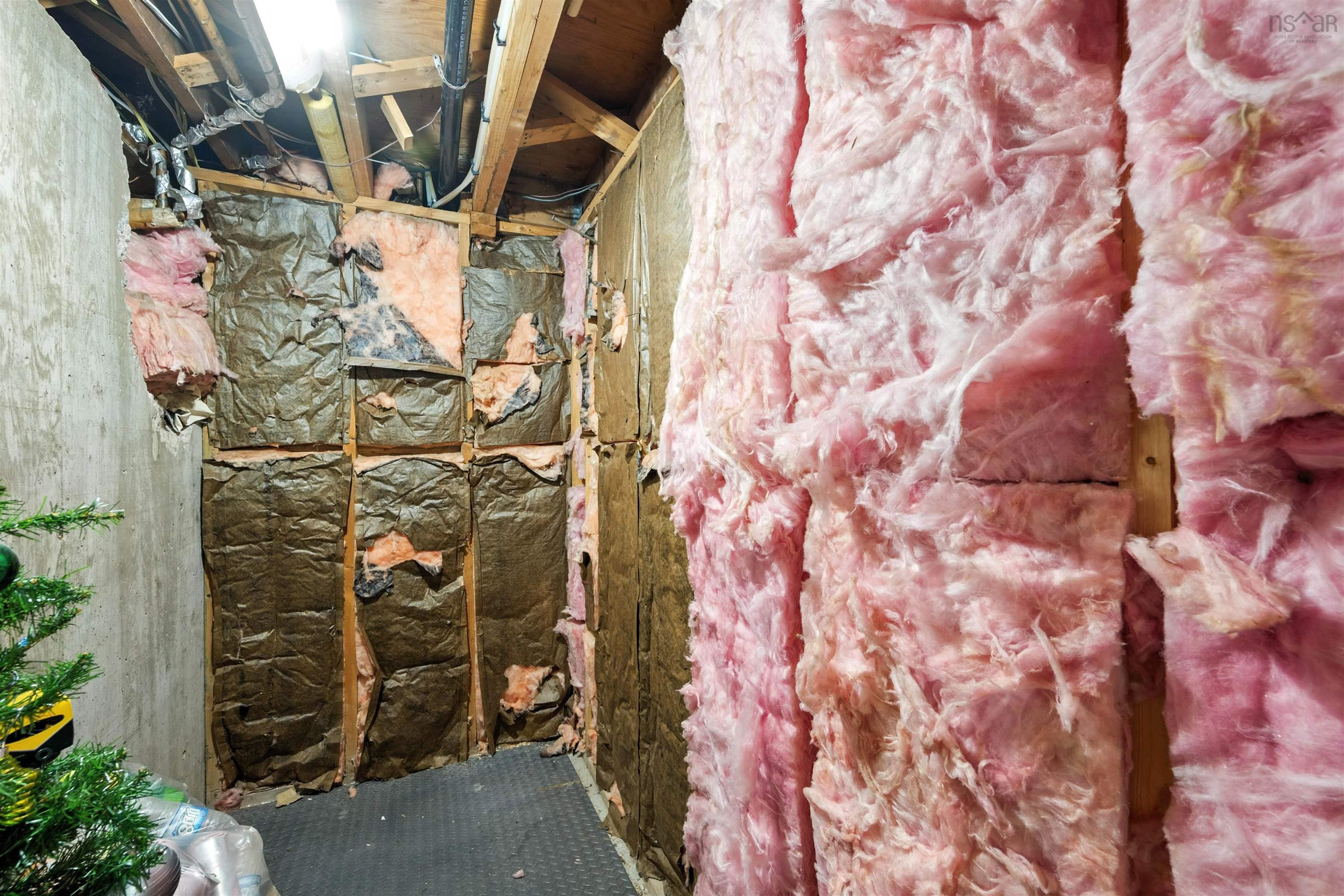 85 Chestnut Street, Trenton, NS (MLS 202600111)