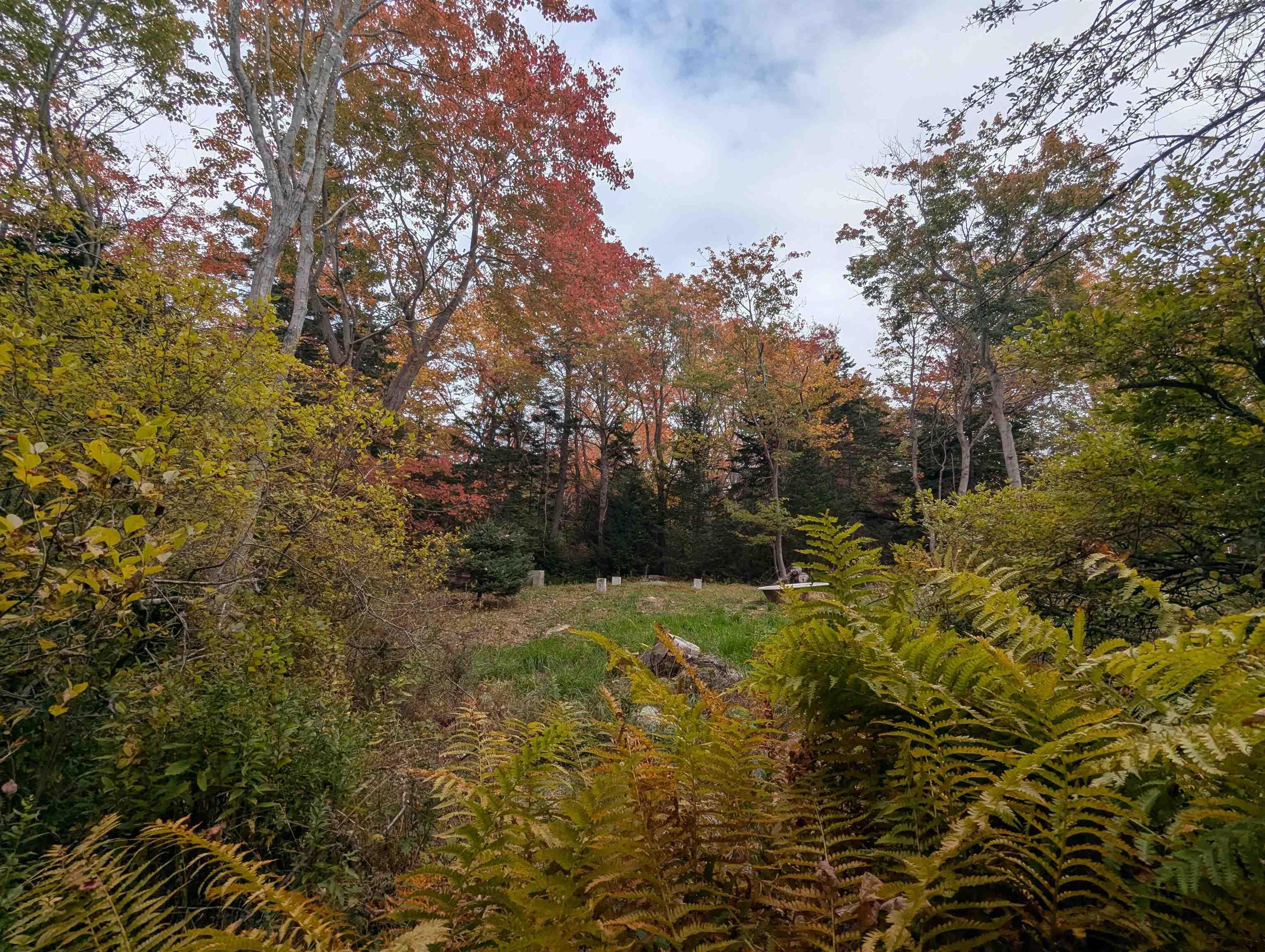 984 Herring Cove Road, Herring Cove, NS (MLS 202600145)