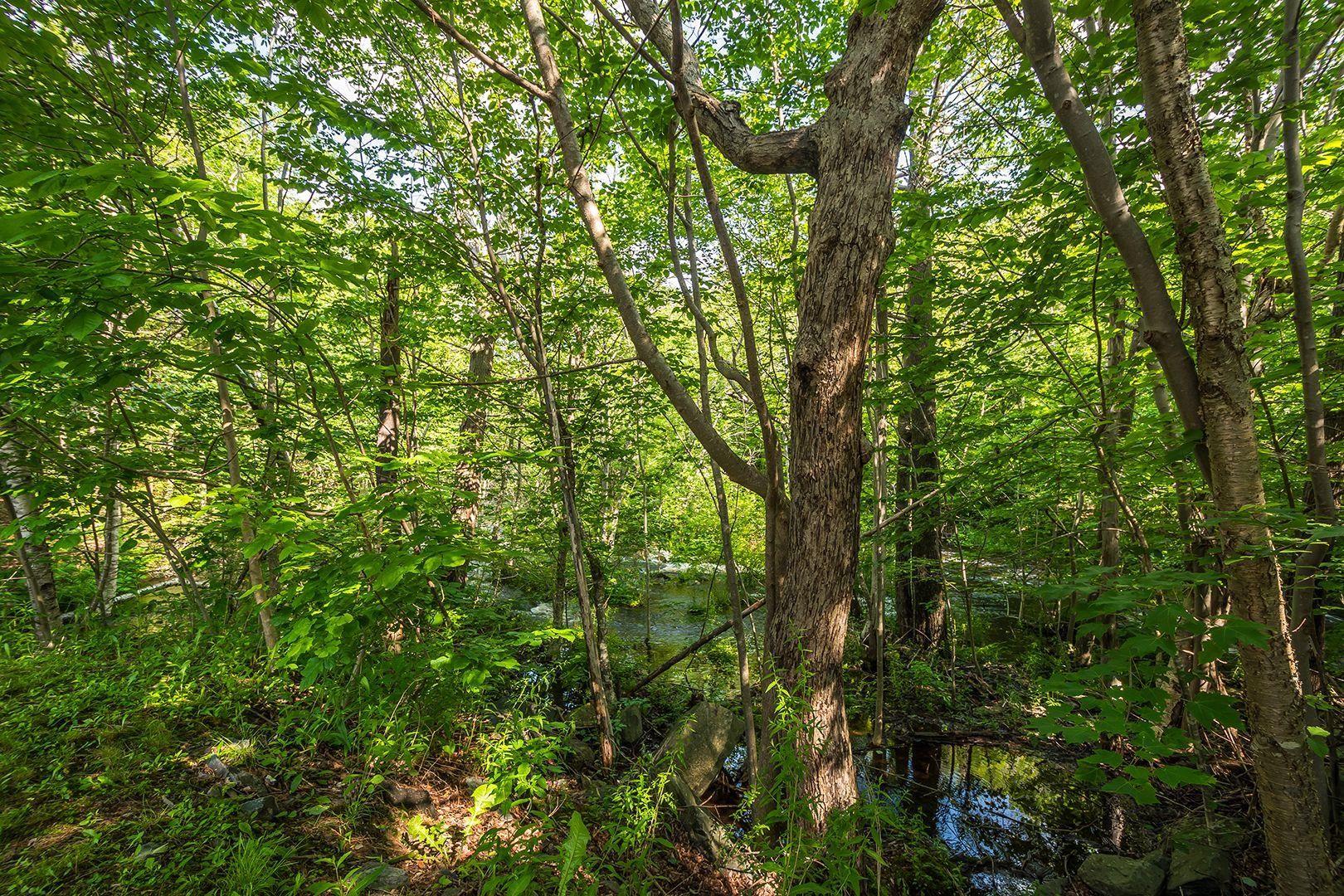 1 41 Moirs Mill Road, Bedford, NS (MLS 202600165)