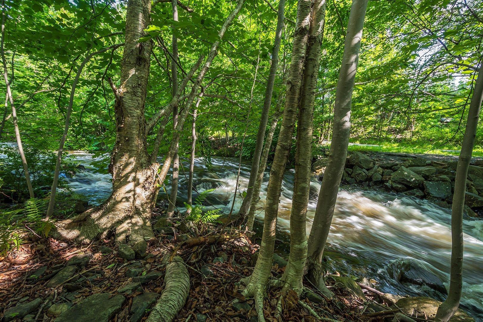 1 41 Moirs Mill Road, Bedford, NS (MLS 202600165)