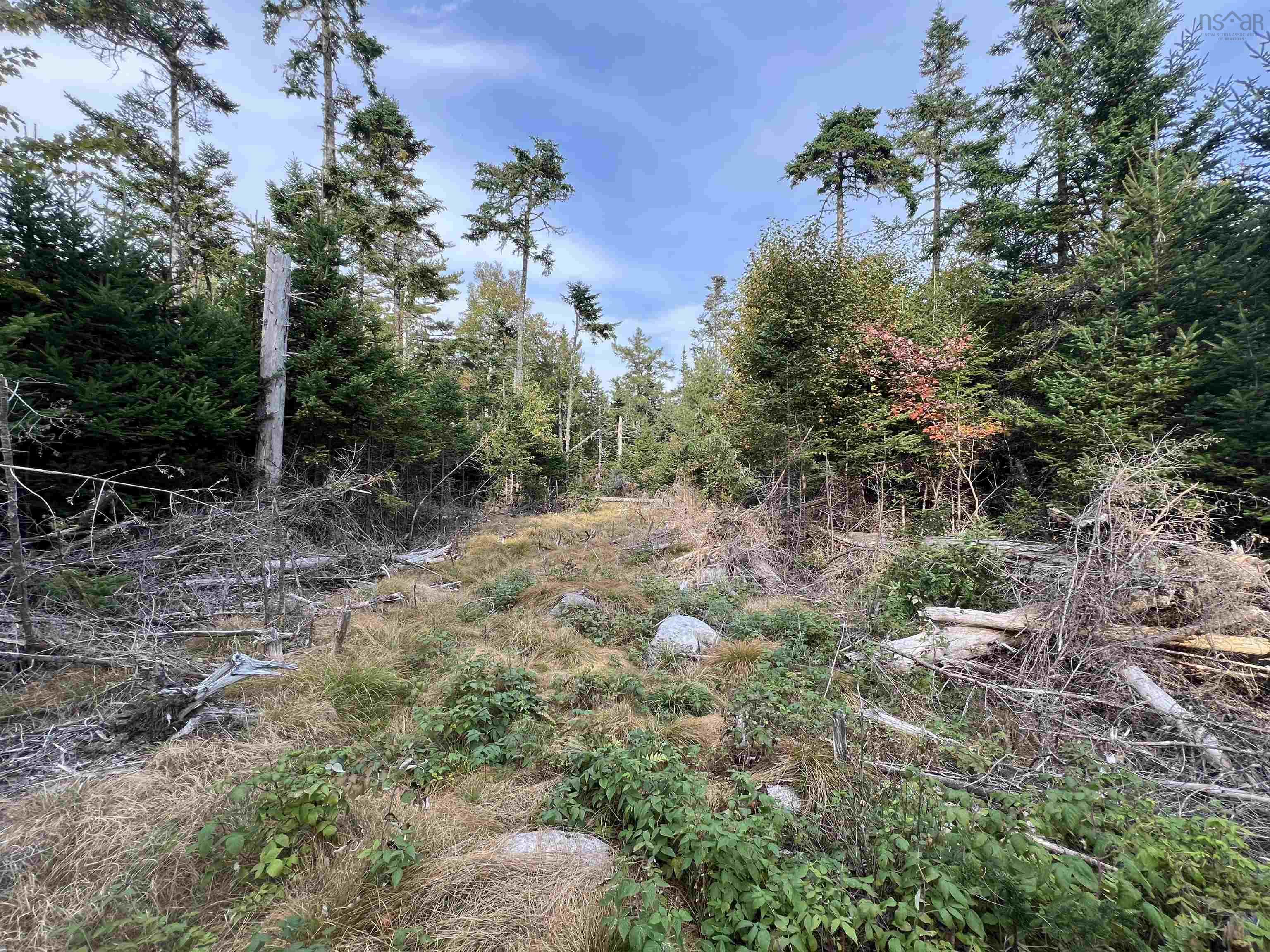 390 Conrads Road, Hubbards, NS (MLS 202600175)