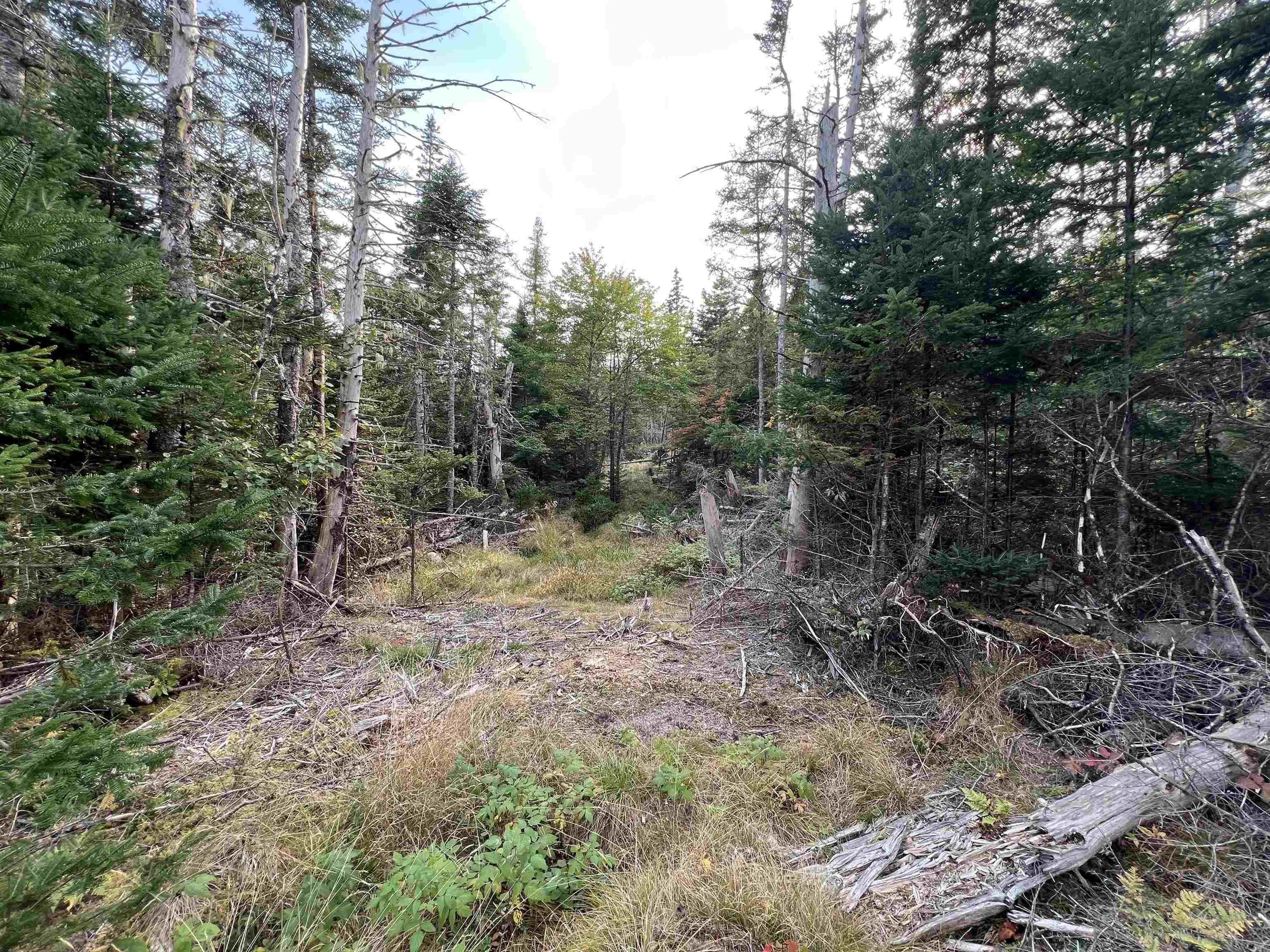 390 Conrads Road, Hubbards, NS (MLS 202600175)