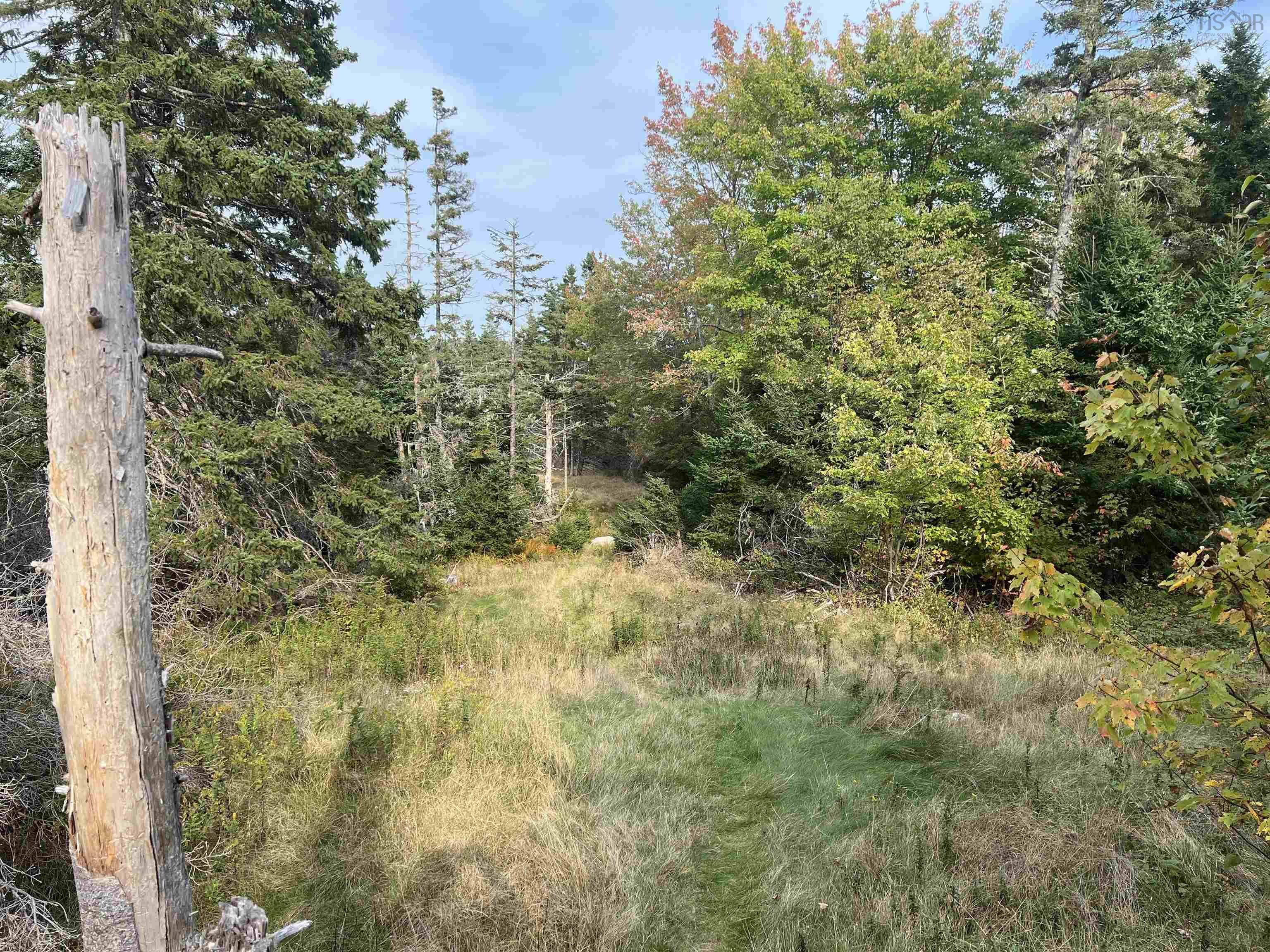 390 Conrads Road, Hubbards, NS (MLS 202600175)