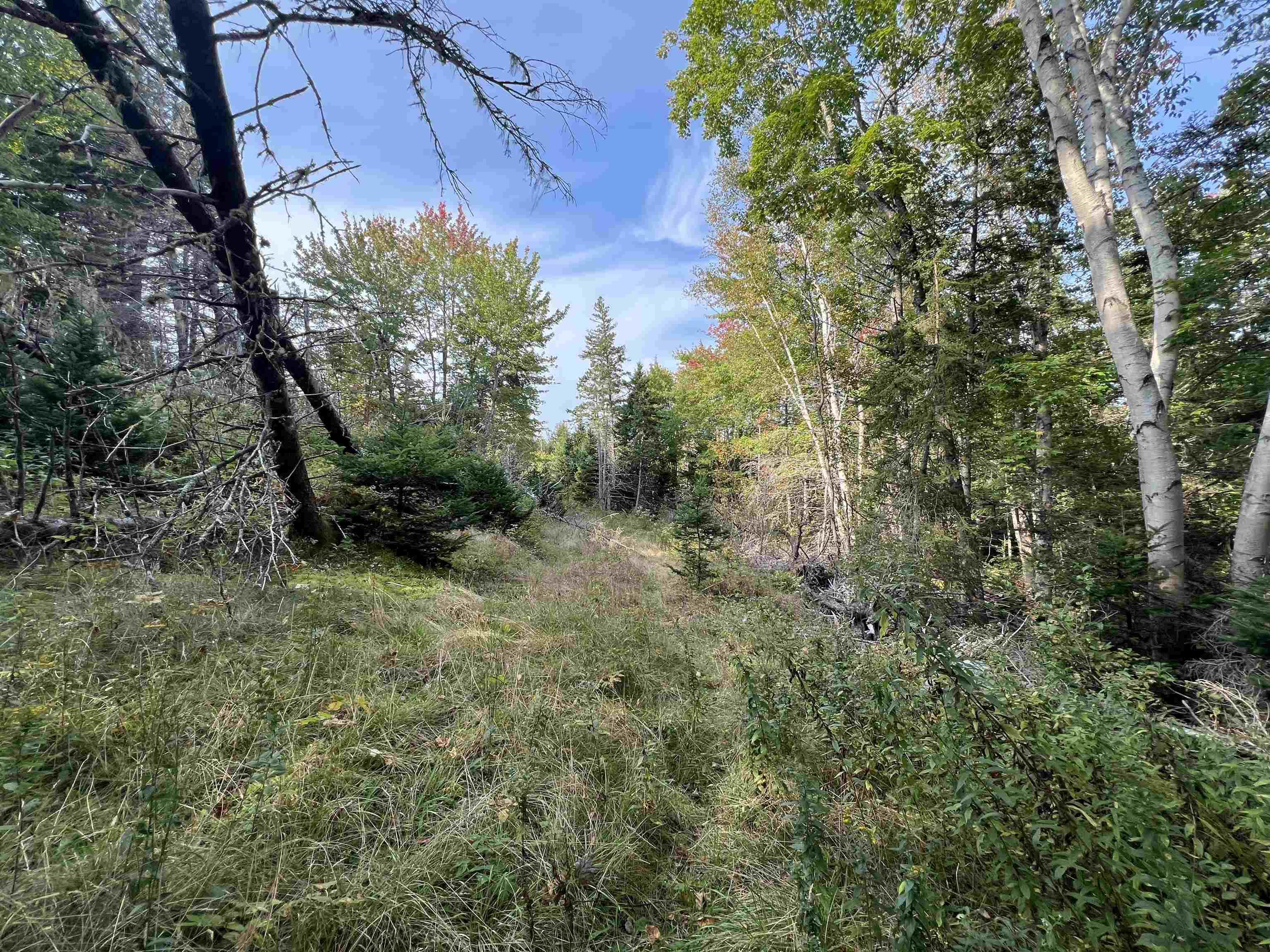 390 Conrads Road, Hubbards, NS (MLS 202600175)