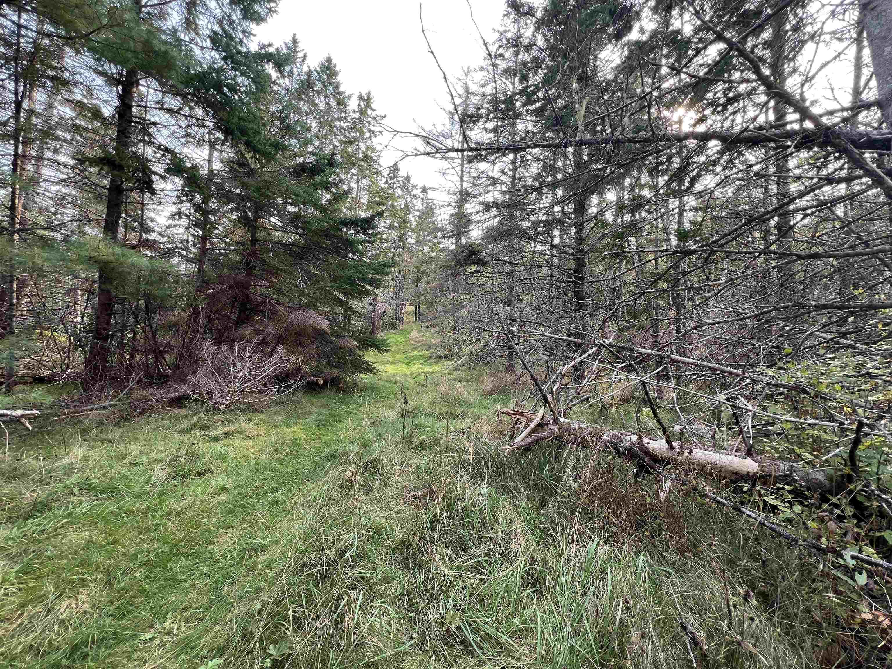 390 Conrads Road, Hubbards, NS (MLS 202600175)