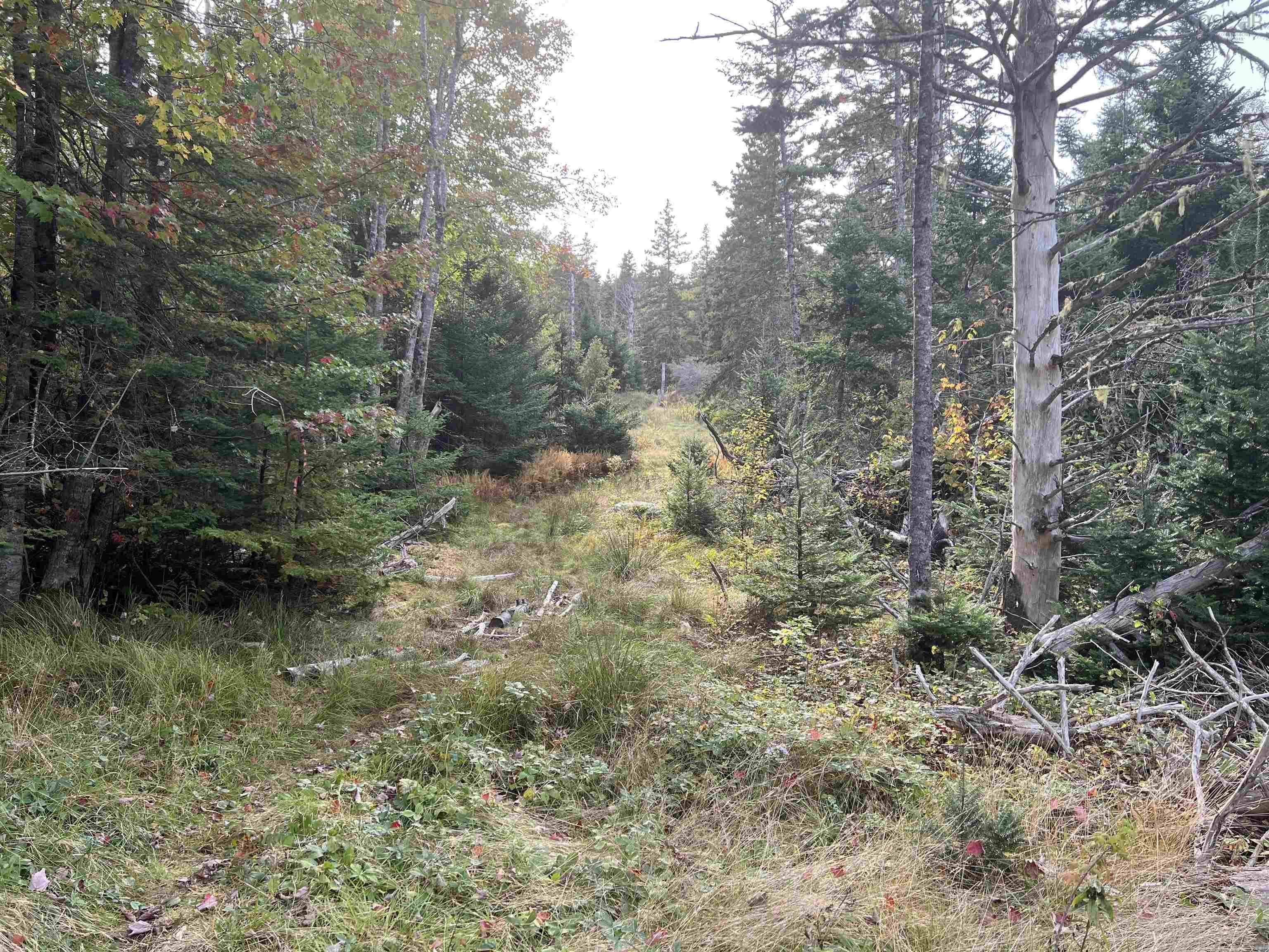 390 Conrads Road, Hubbards, NS (MLS 202600175)