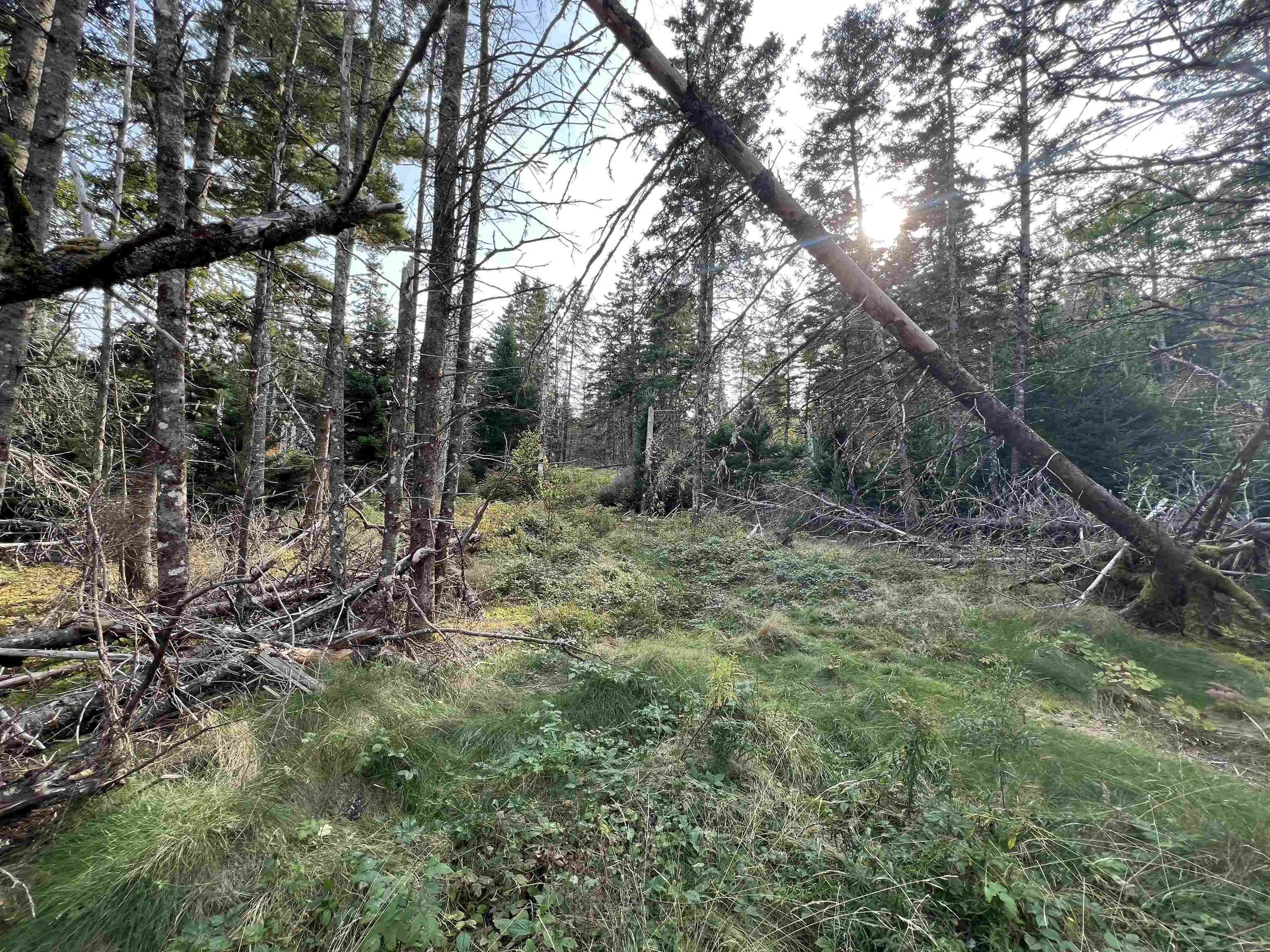 390 Conrads Road, Hubbards, NS (MLS 202600175)