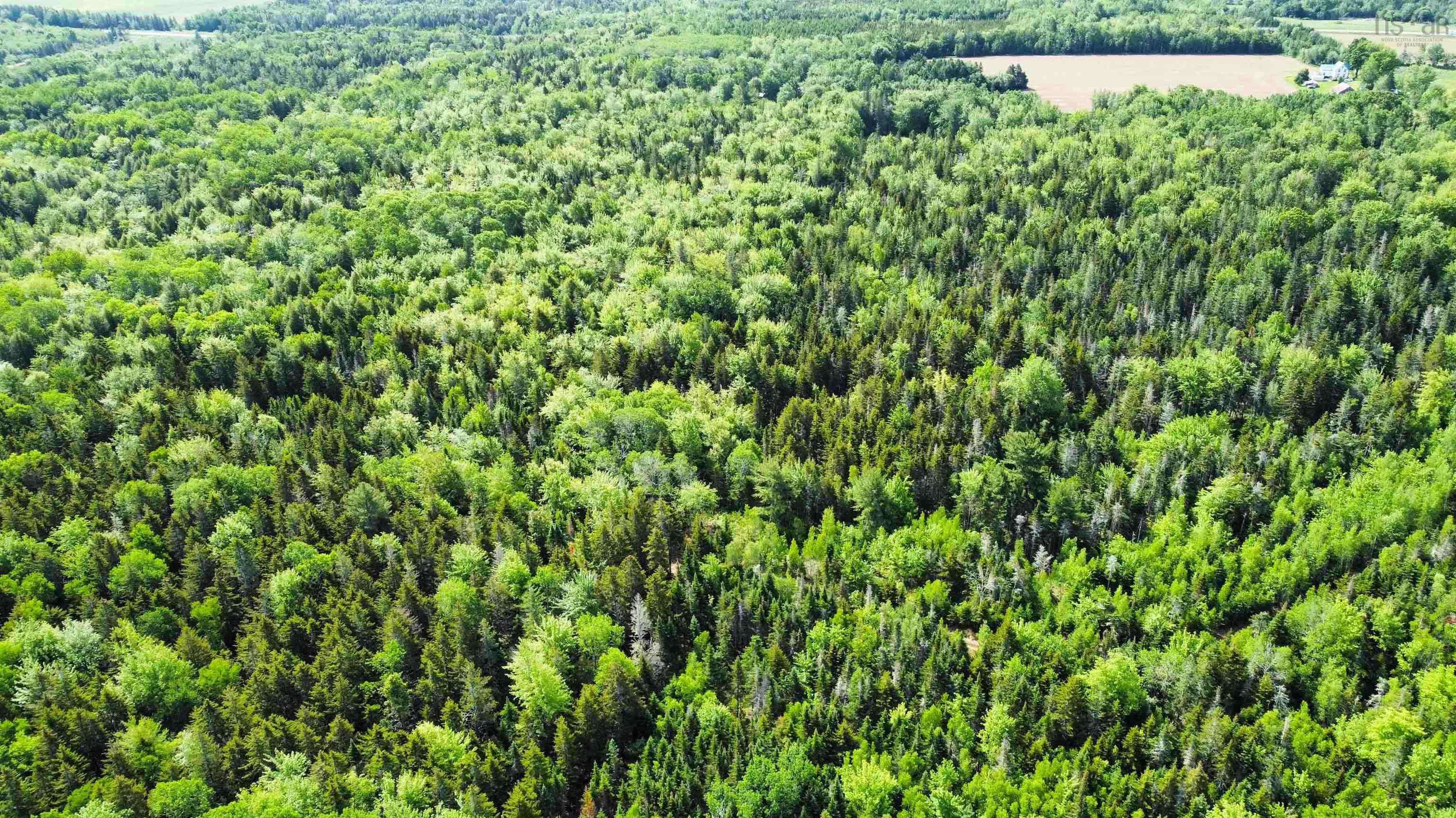 $350,000.00: 332 Balcom Road, Clarence