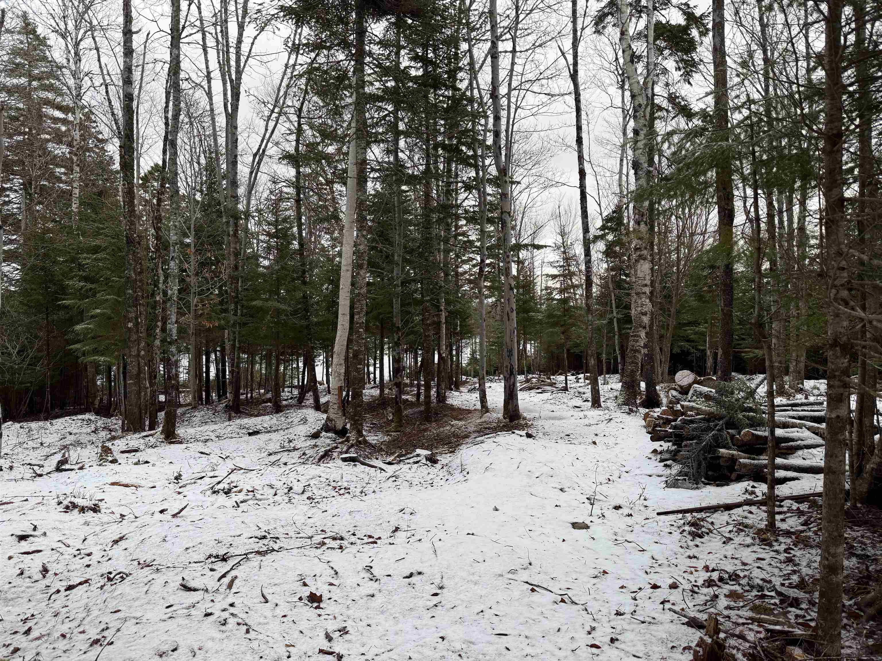 $155,000.00: 19 Davis Avenue, Upper Rawdon