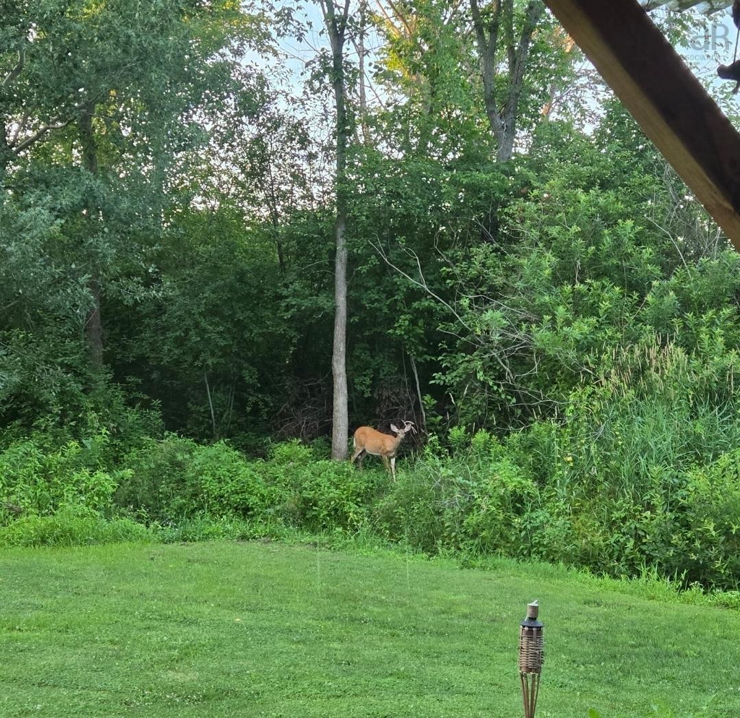 $345,000.00: 114 Bog Road, Berwick