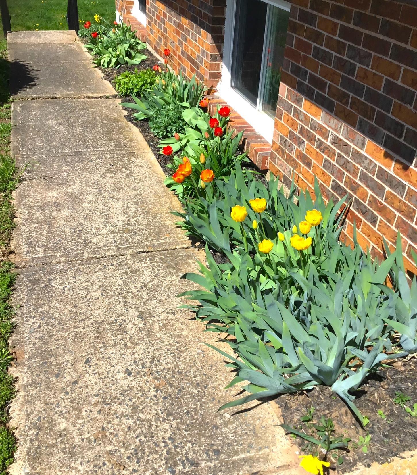 $485,000.00: 89 Apple Tree Lane, Kentville