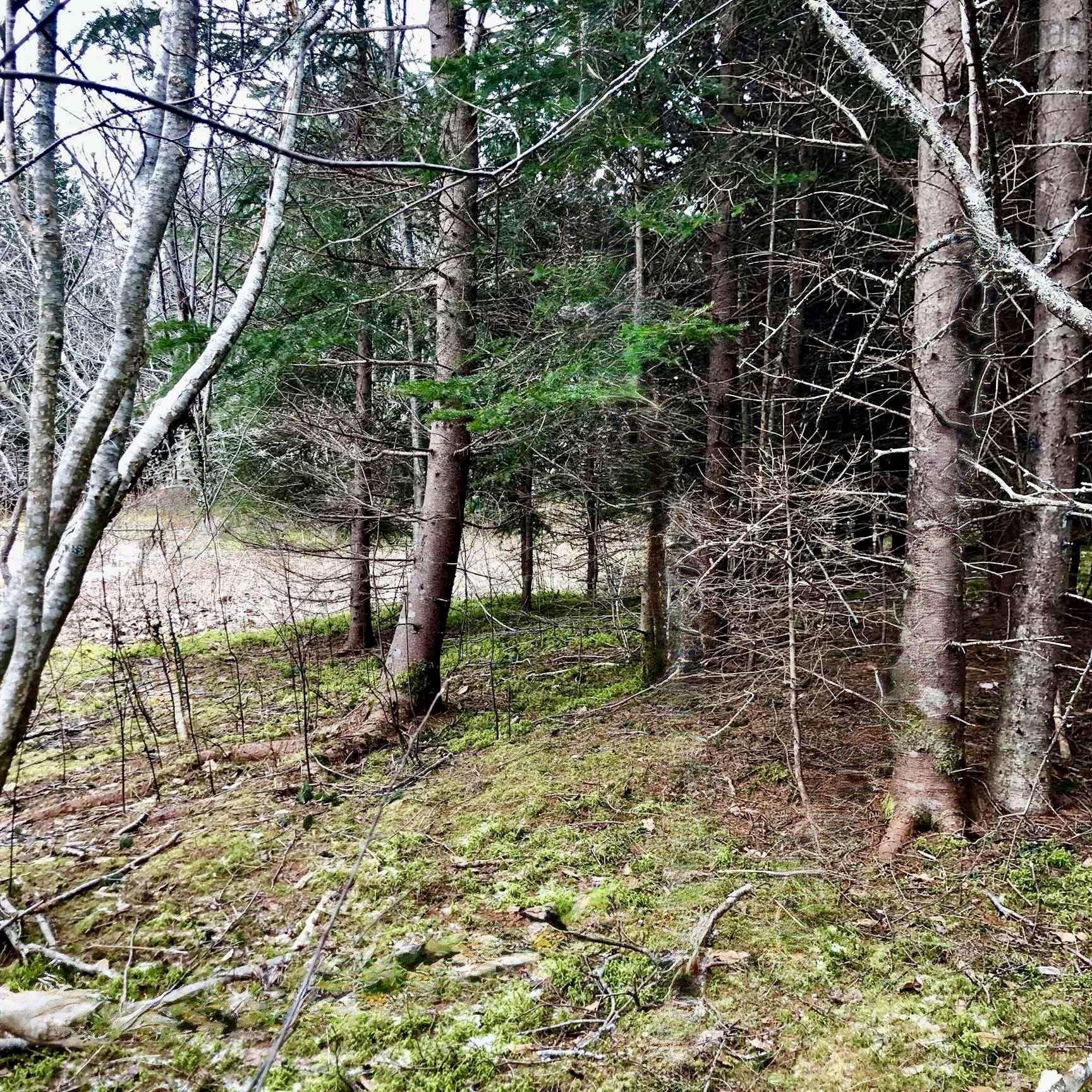 $79,500.00: 0 Main Rd., Hureauville