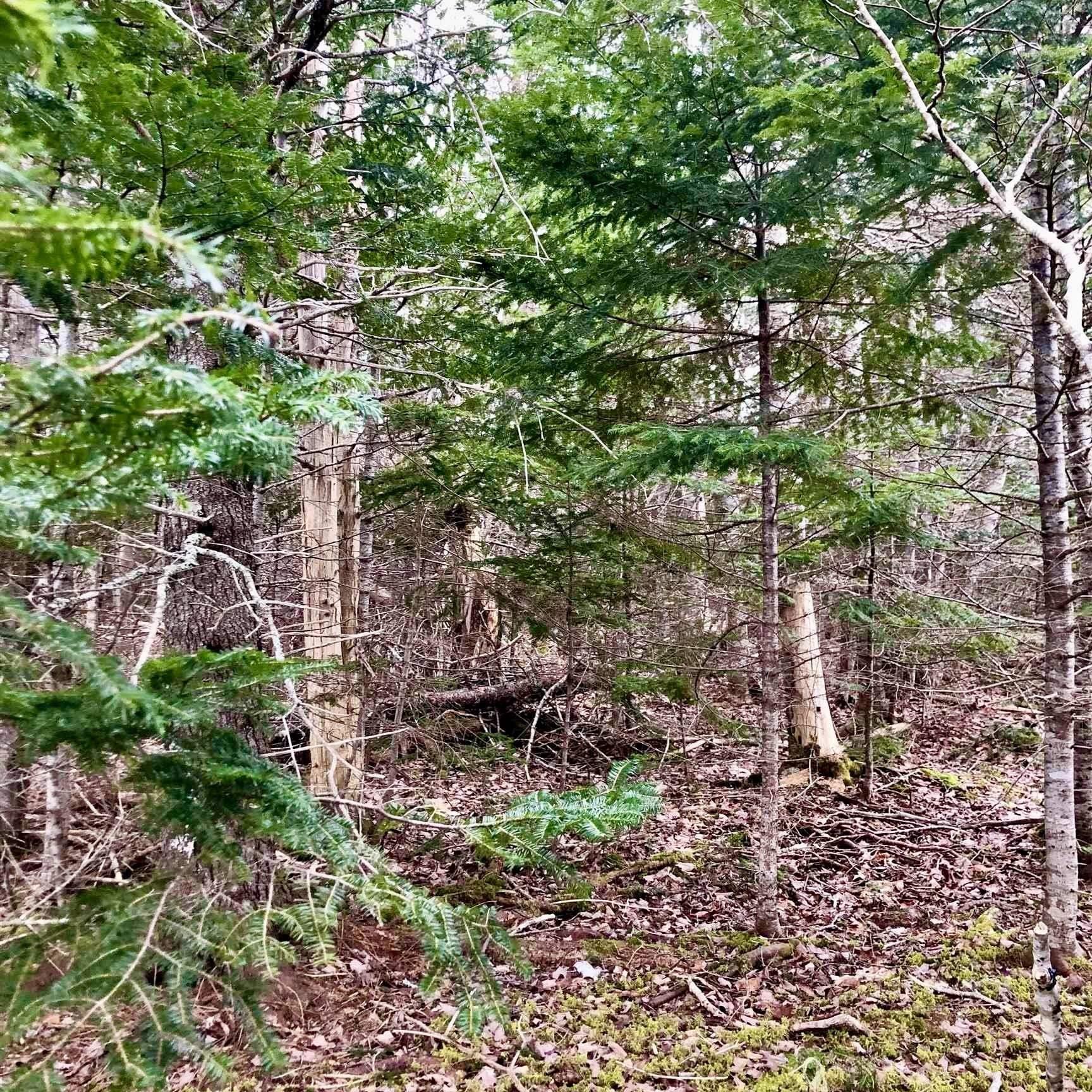 $79,500.00: 0 Main Rd., Hureauville