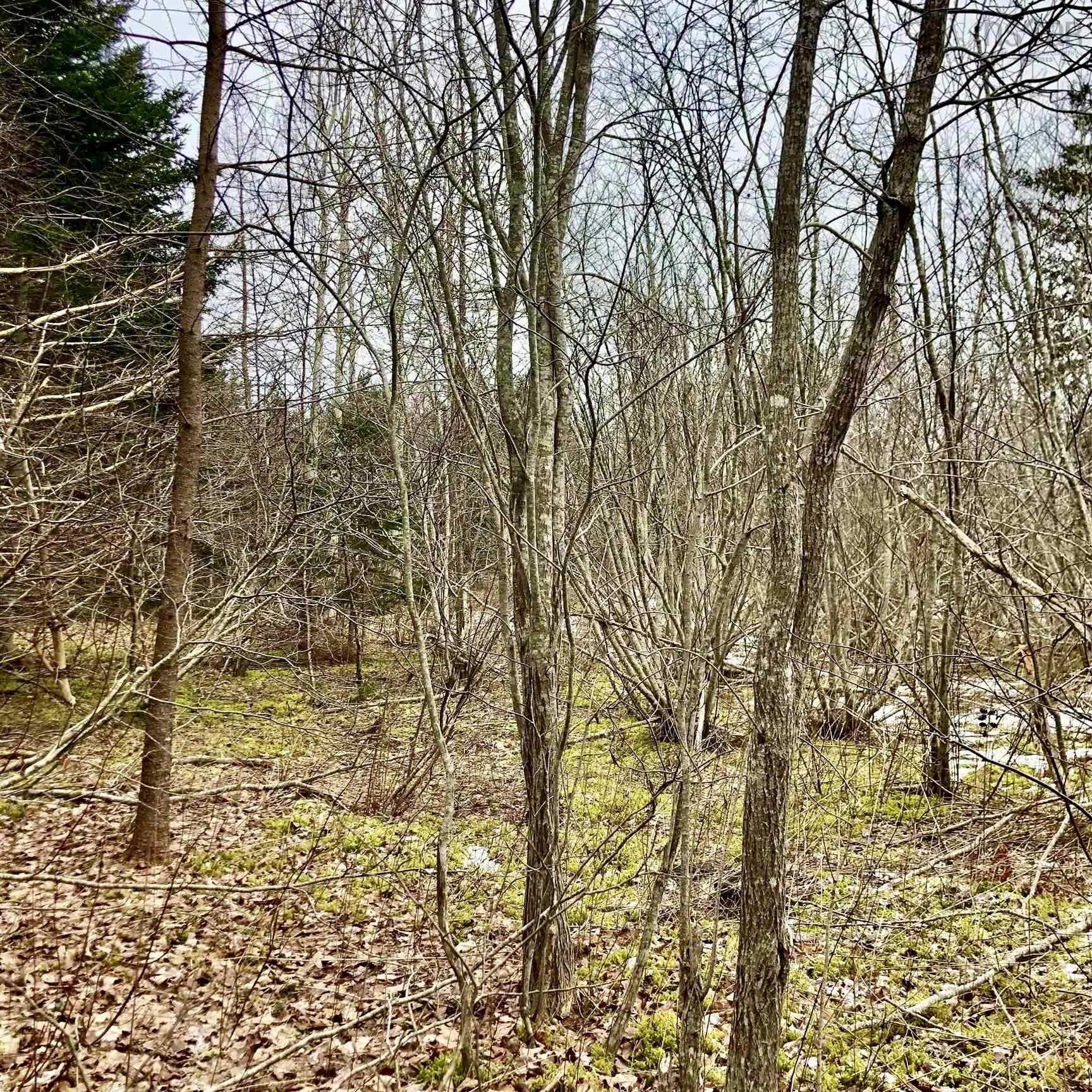 $79,500.00: 0 Main Rd., Hureauville