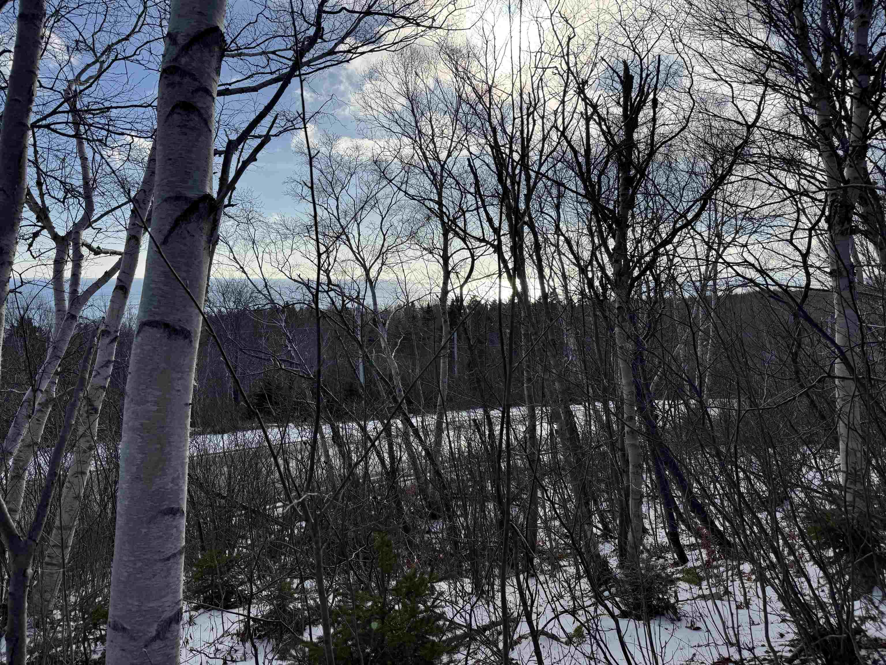 $99,000.00: Cabot Trail, Wreck Cove