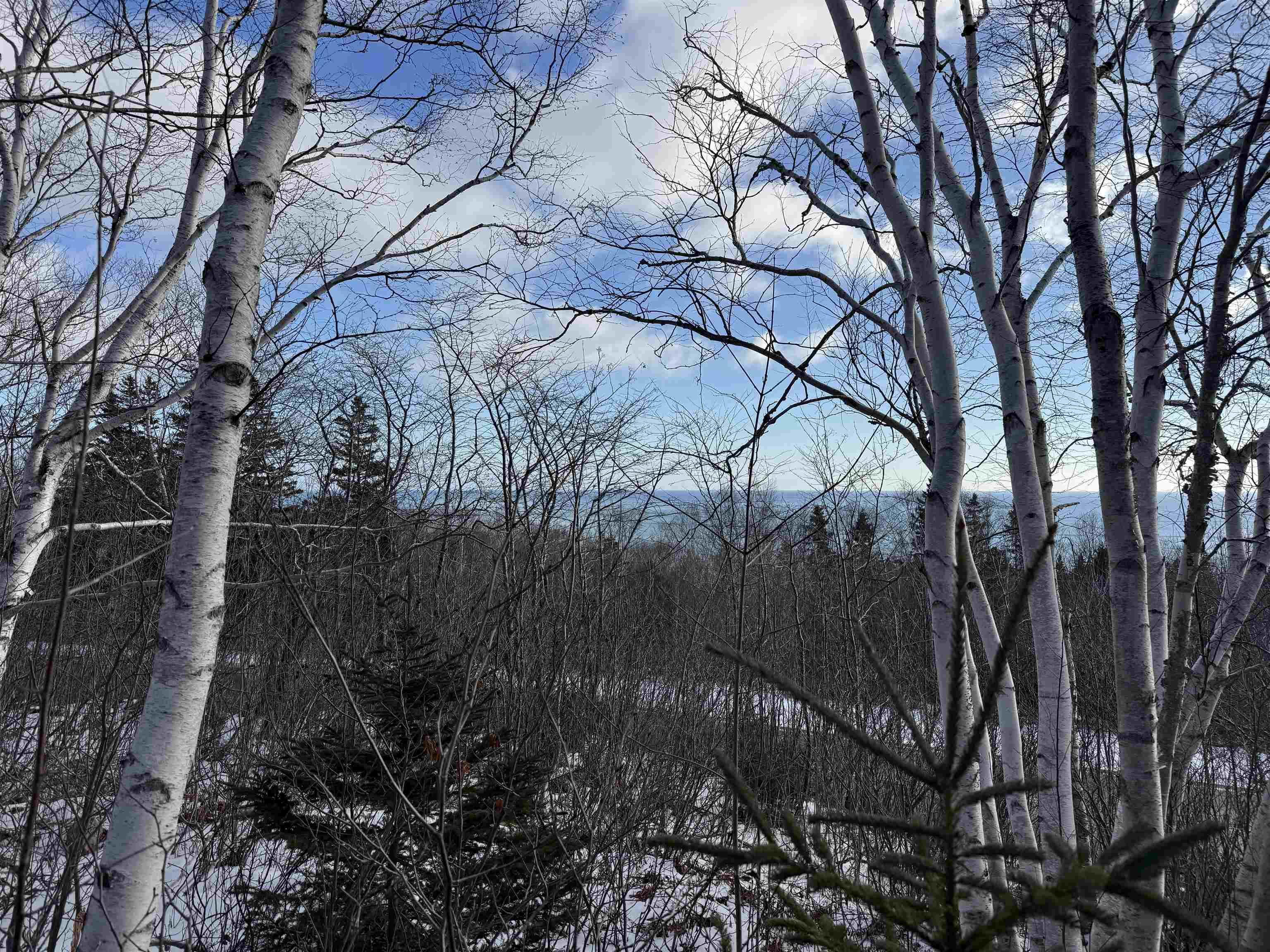 $99,000.00: Cabot Trail, Wreck Cove