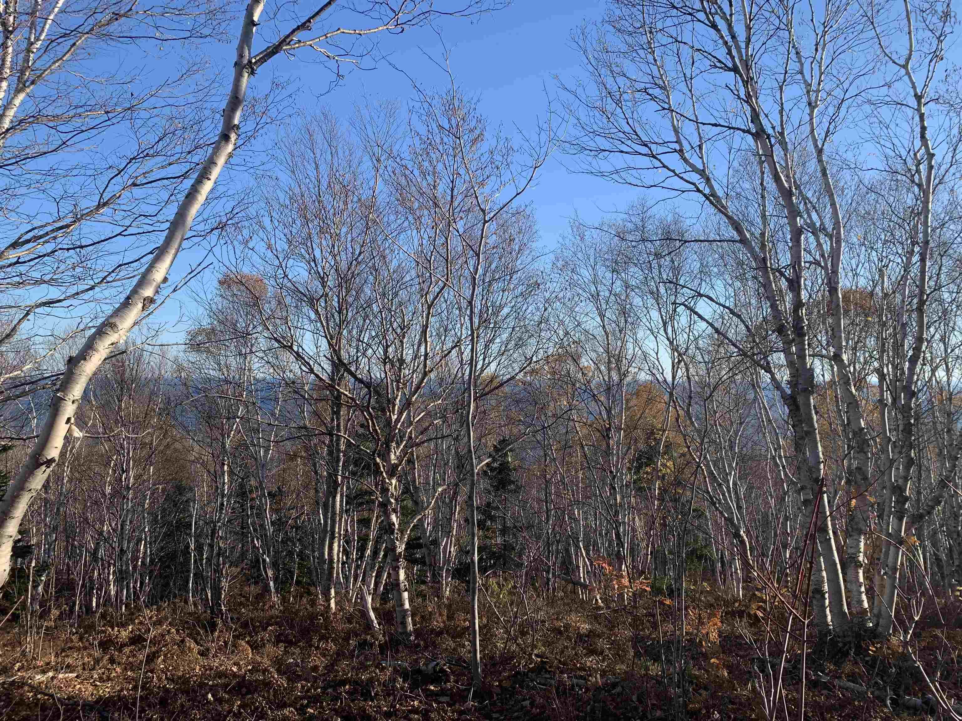 $99,000.00: Cabot Trail, Wreck Cove