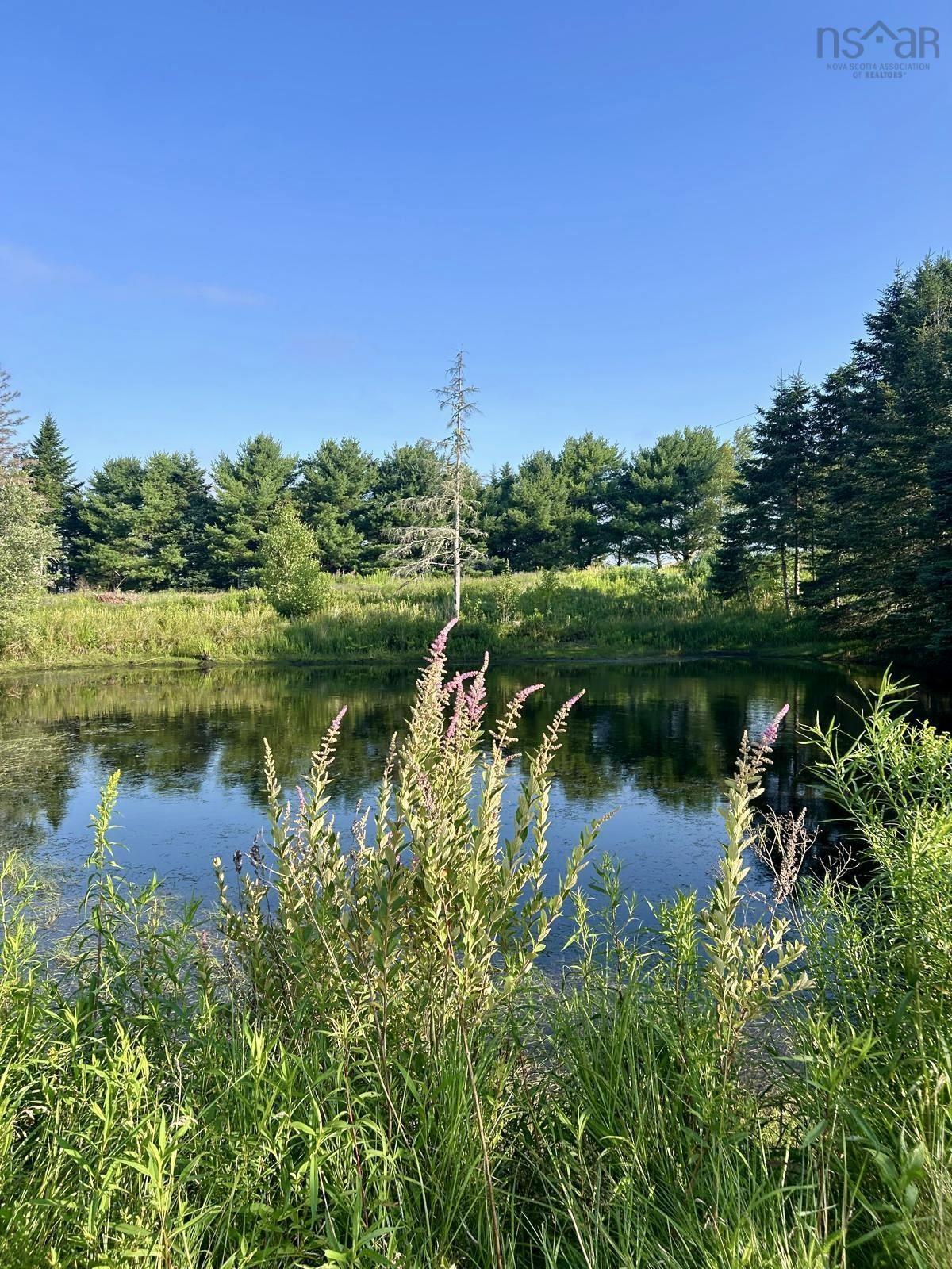 $1,195,000.00: 60 Baseline Road, Newton Mills