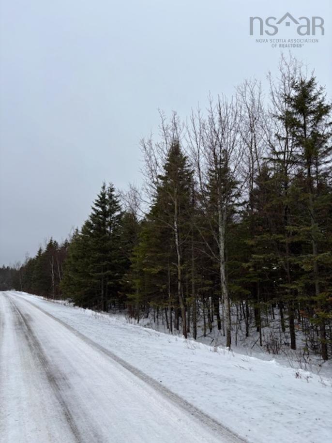 Lot Chipman Brook, Chipman Brook, NS (MLS® 202600604) | Chipman Brook Real Estate | RE/MAX Halifax