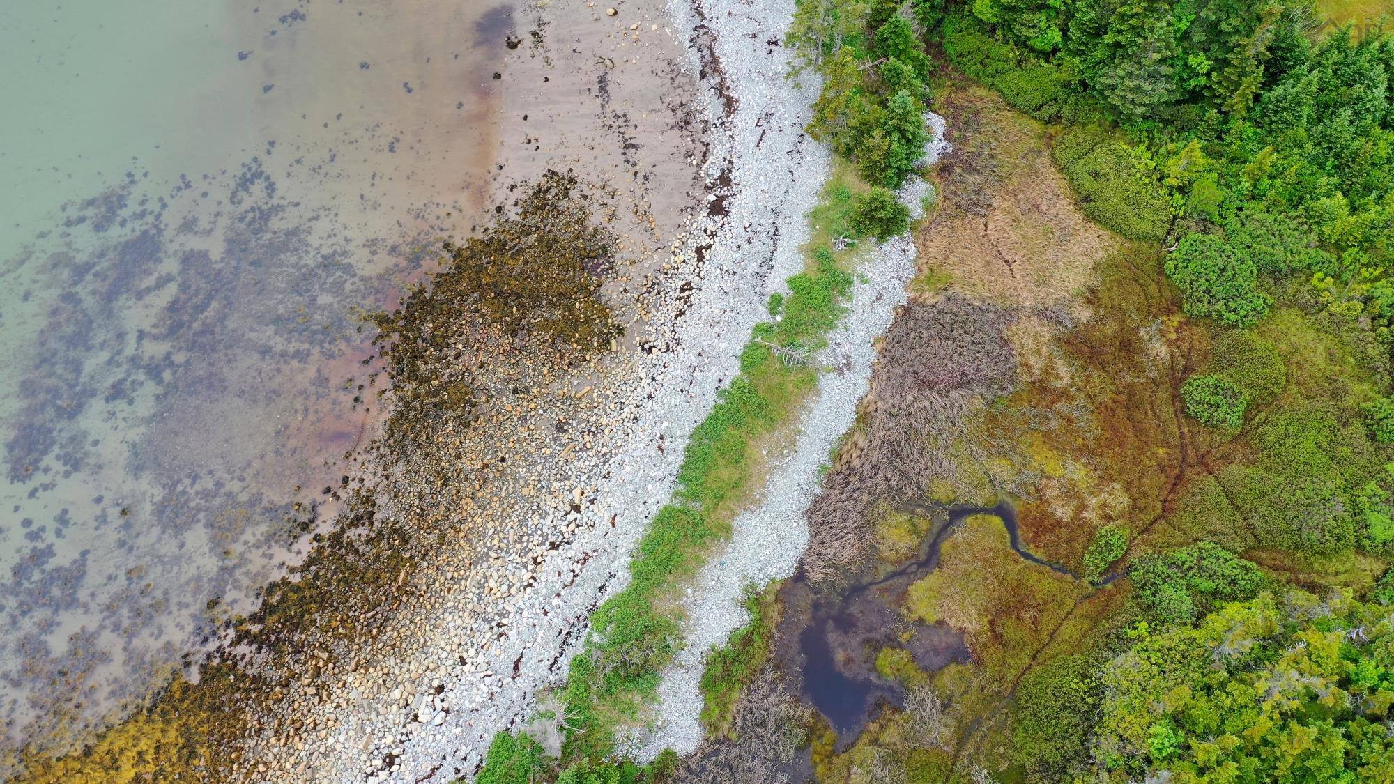 $35,000.00: Shore Road, North East Harbour