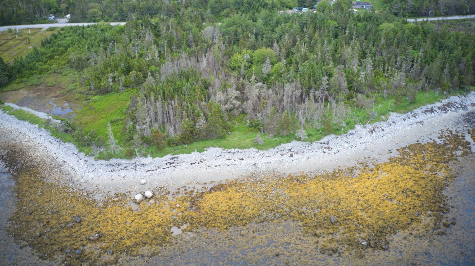 $35,000.00: Shore Road, North East Harbour