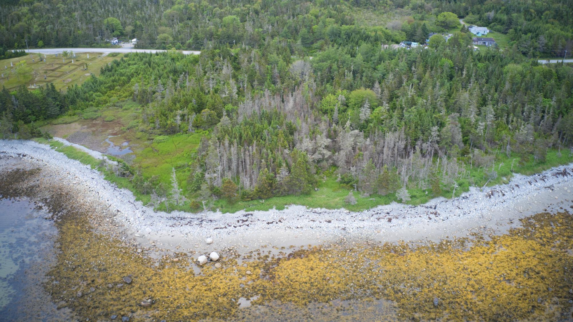 $35,000.00: Shore Road, North East Harbour