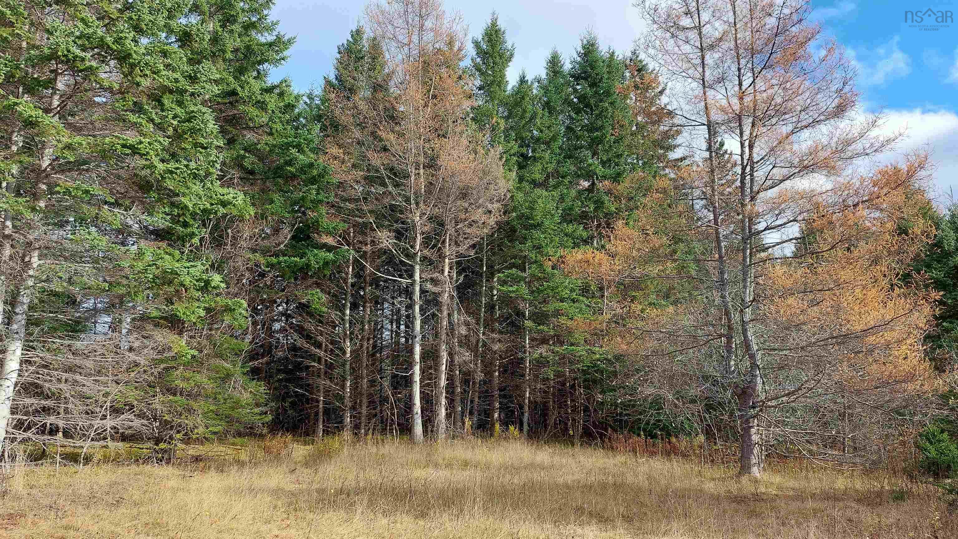 $245,000.00: 1629 West Side Middle River Rd., Middle River