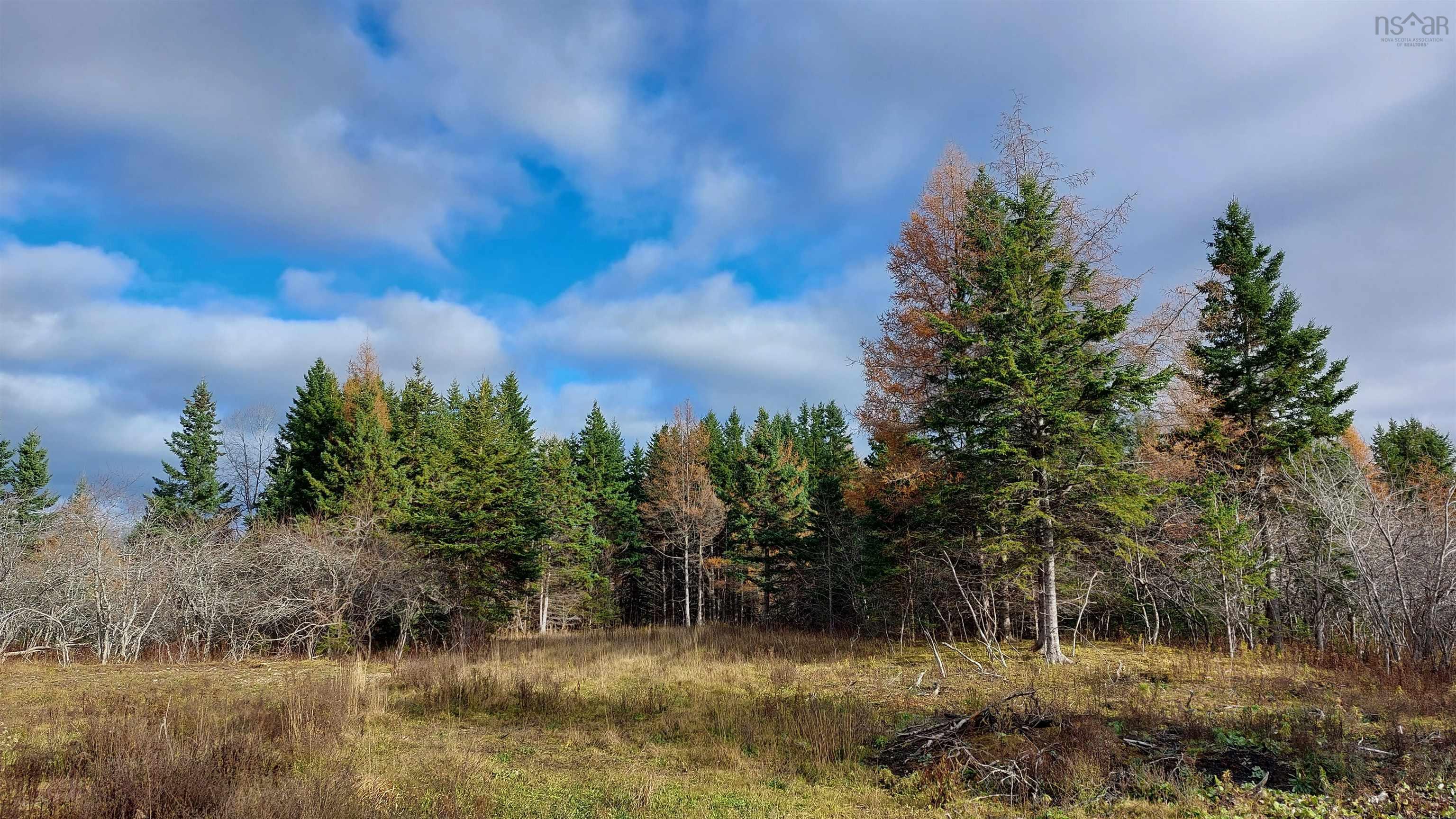 $245,000.00: 1629 West Side Middle River Rd., Middle River