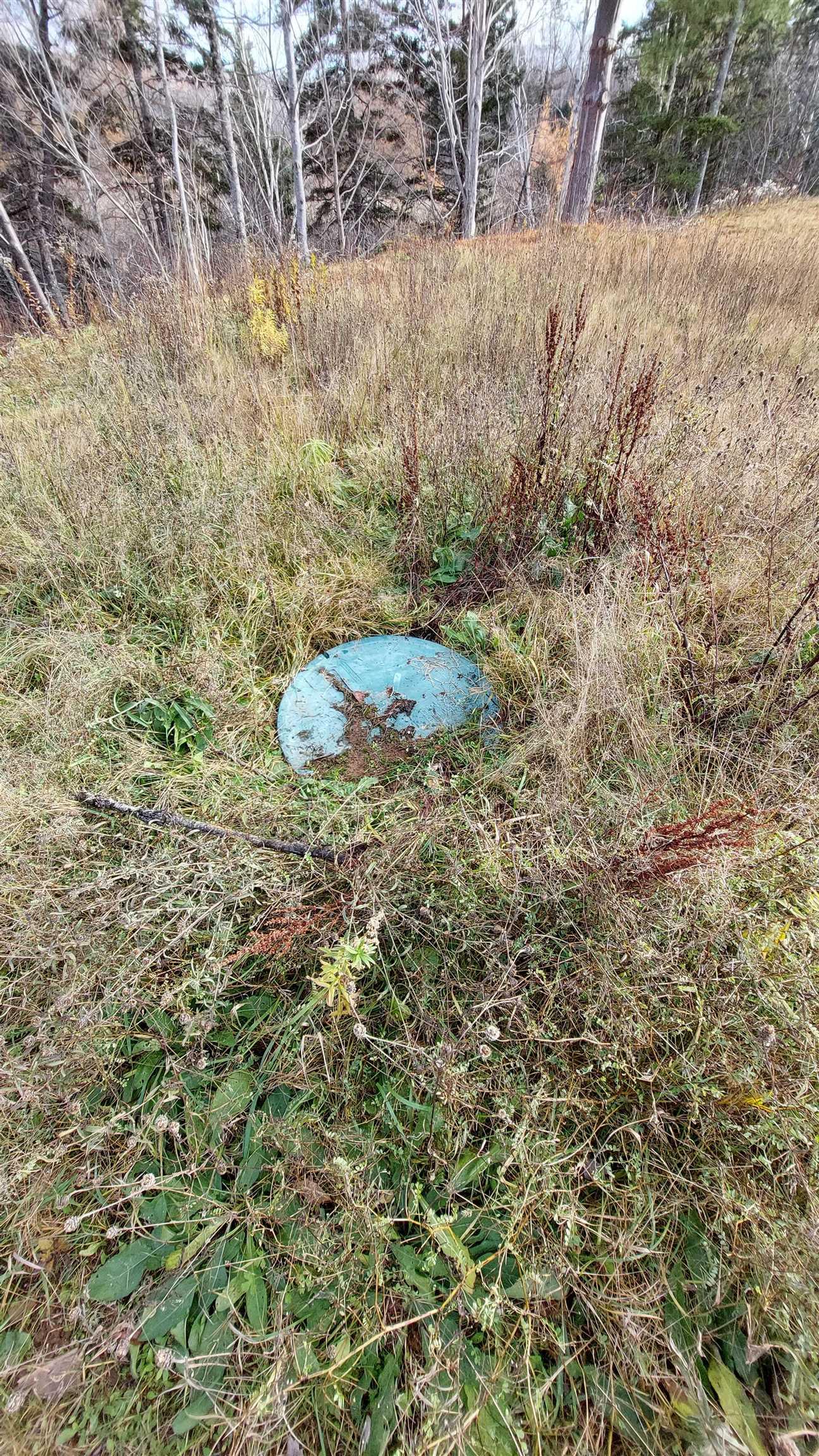 $245,000.00: 1629 West Side Middle River Rd., Middle River