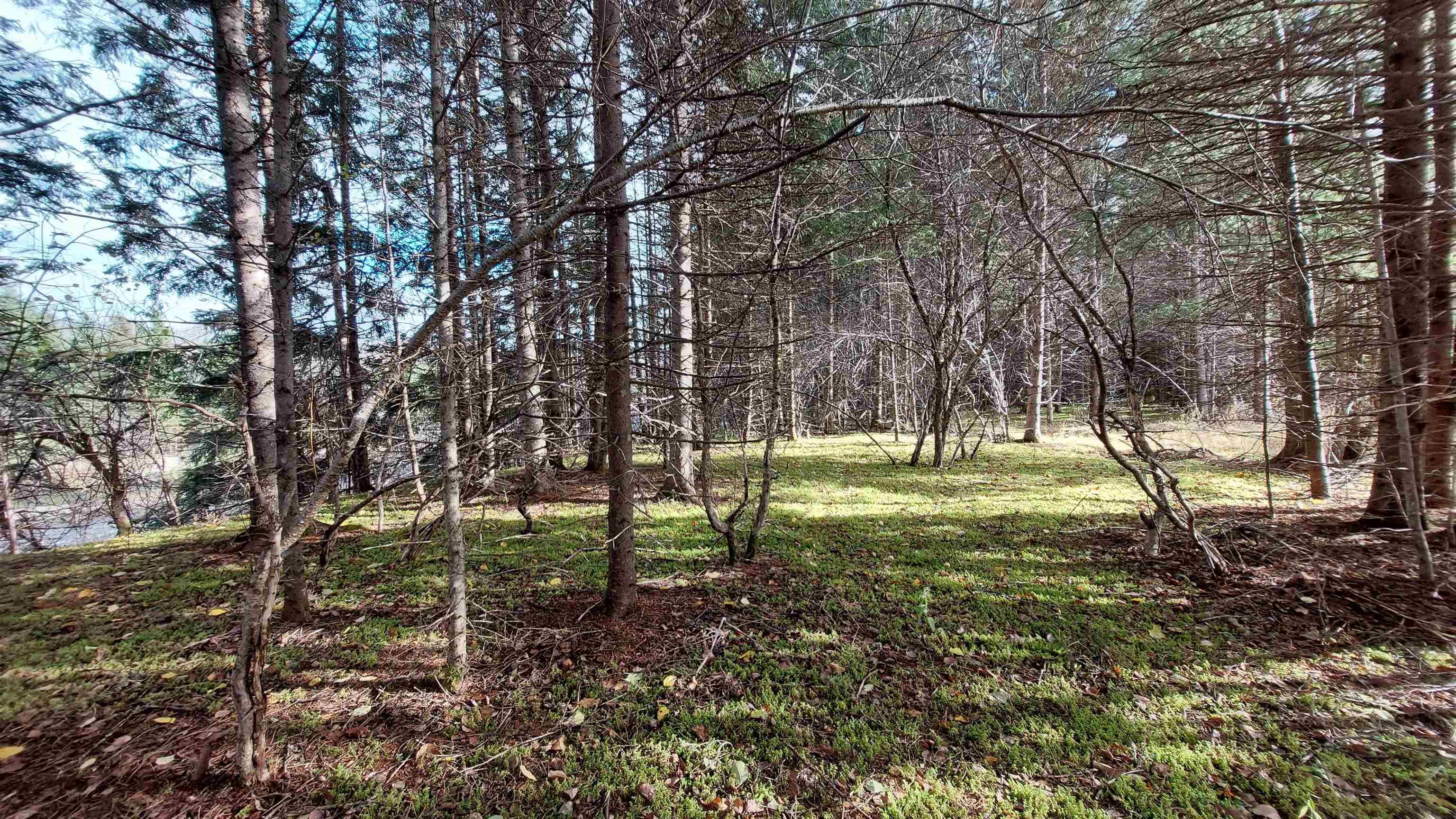 $245,000.00: 1629 West Side Middle River Rd., Middle River