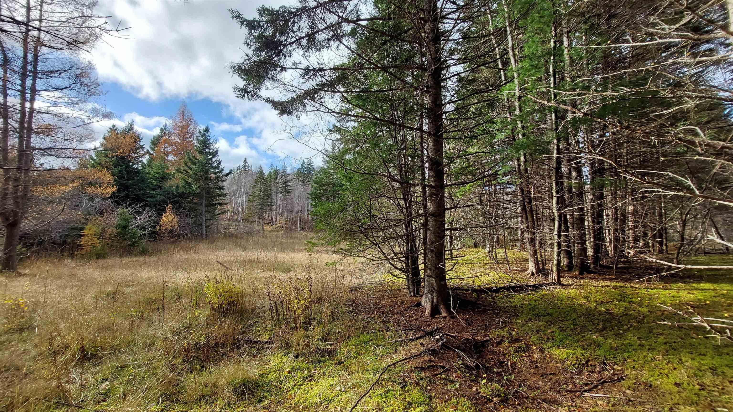 $245,000.00: 1629 West Side Middle River Rd., Middle River