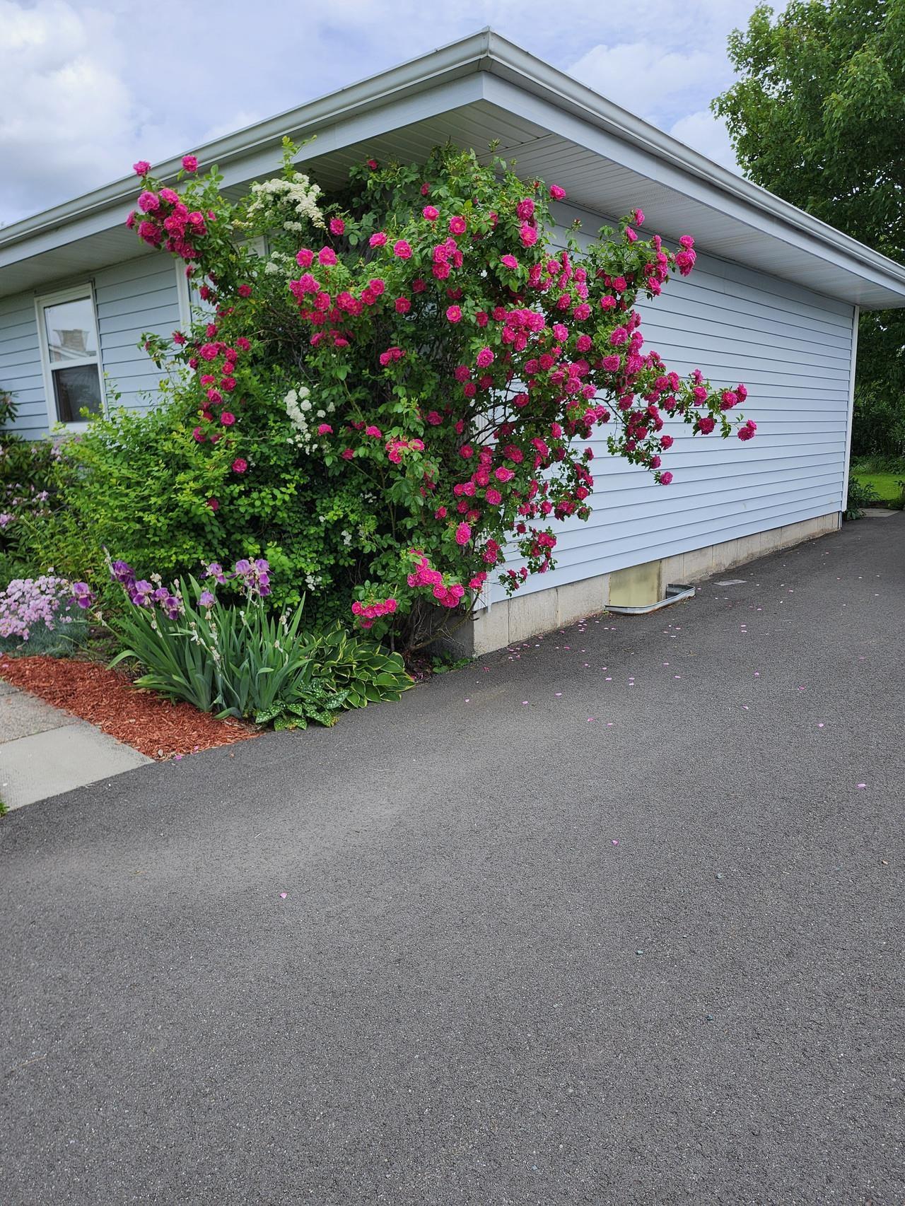 $347,500.00: 22 MacDougall, Antigonish