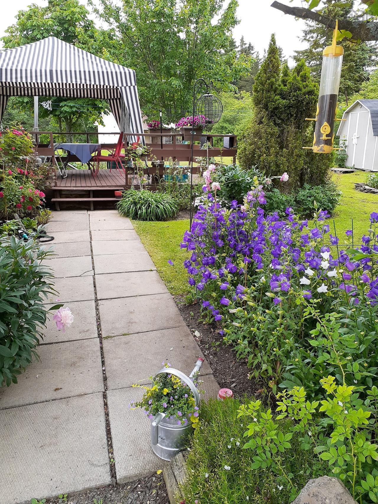 $347,500.00: 22 MacDougall, Antigonish