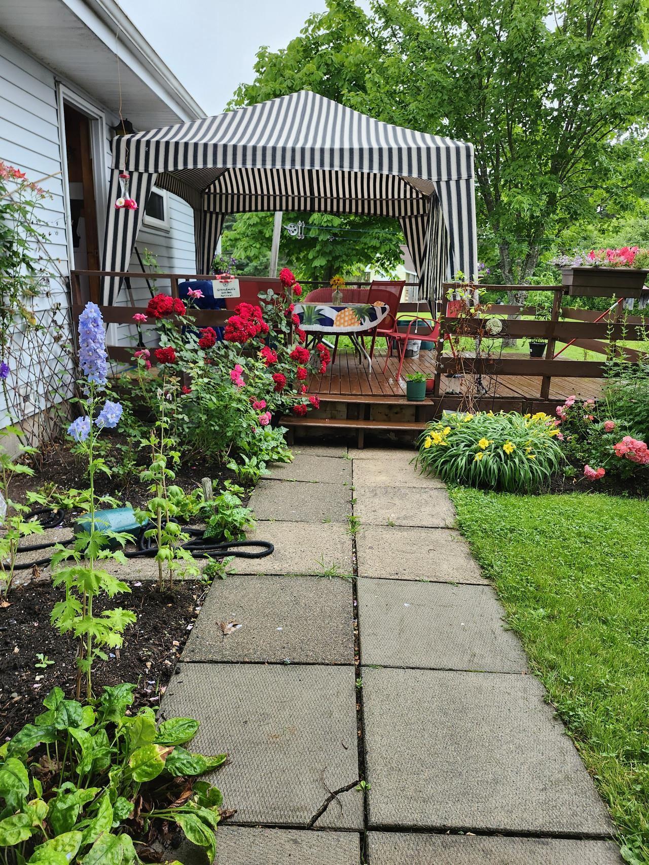 $347,500.00: 22 MacDougall, Antigonish