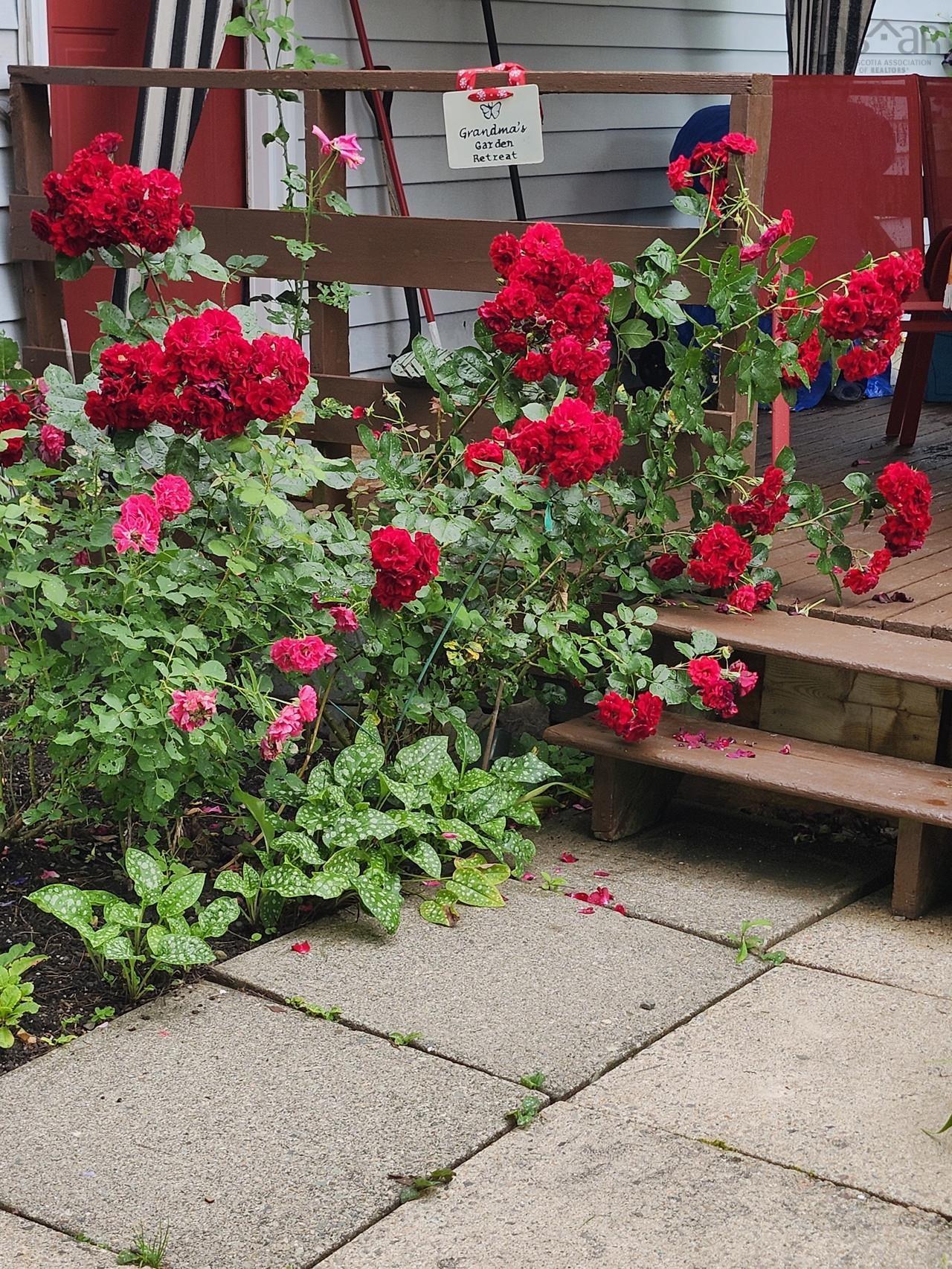 $347,500.00: 22 MacDougall, Antigonish