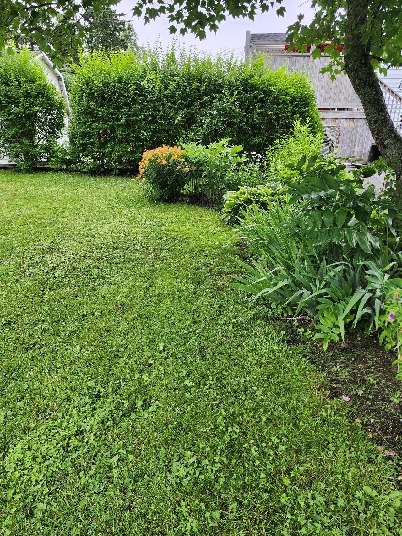 $347,500.00: 22 MacDougall, Antigonish