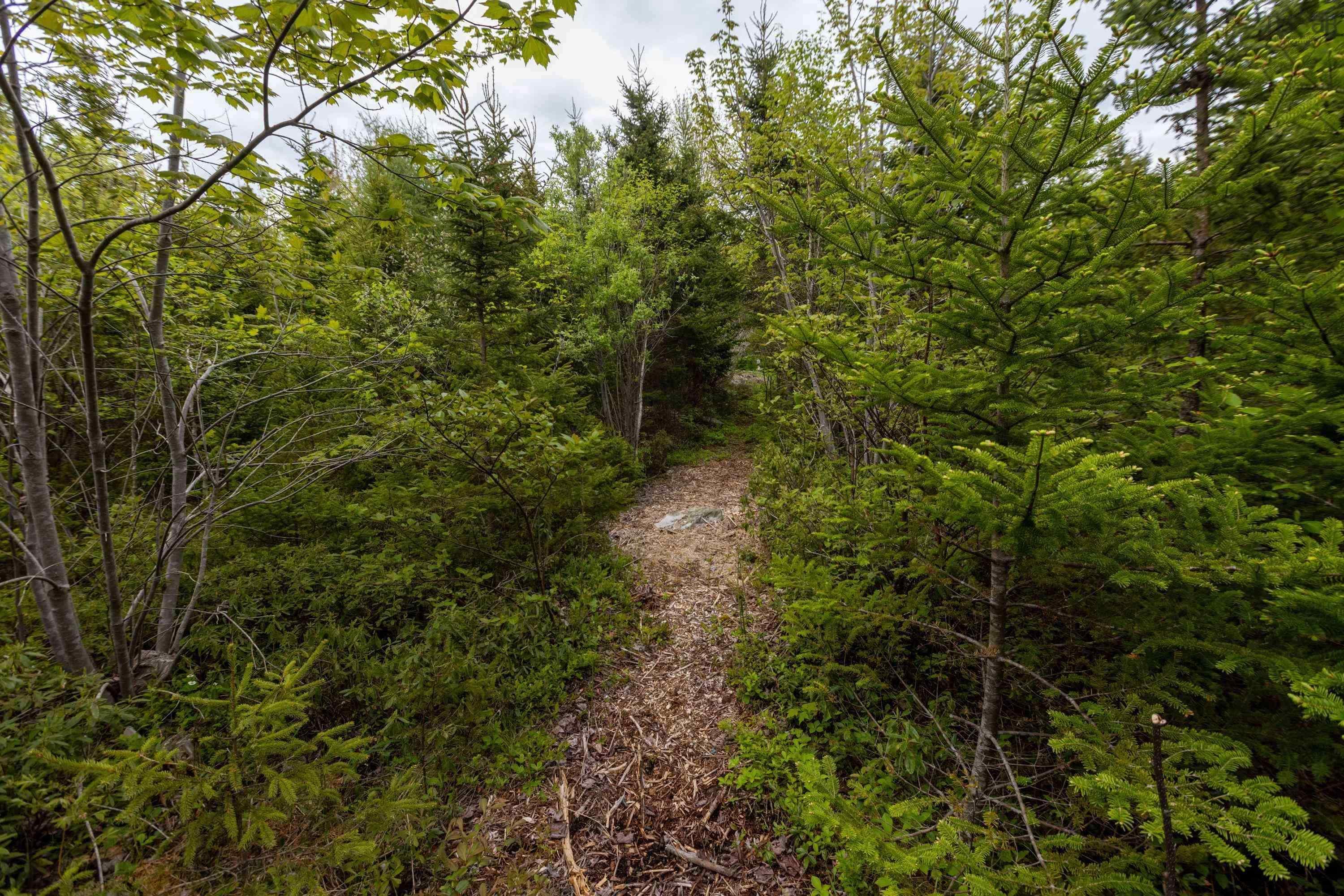 51 Astour Drive, Eastern Passage, NS (MLS 202600754)