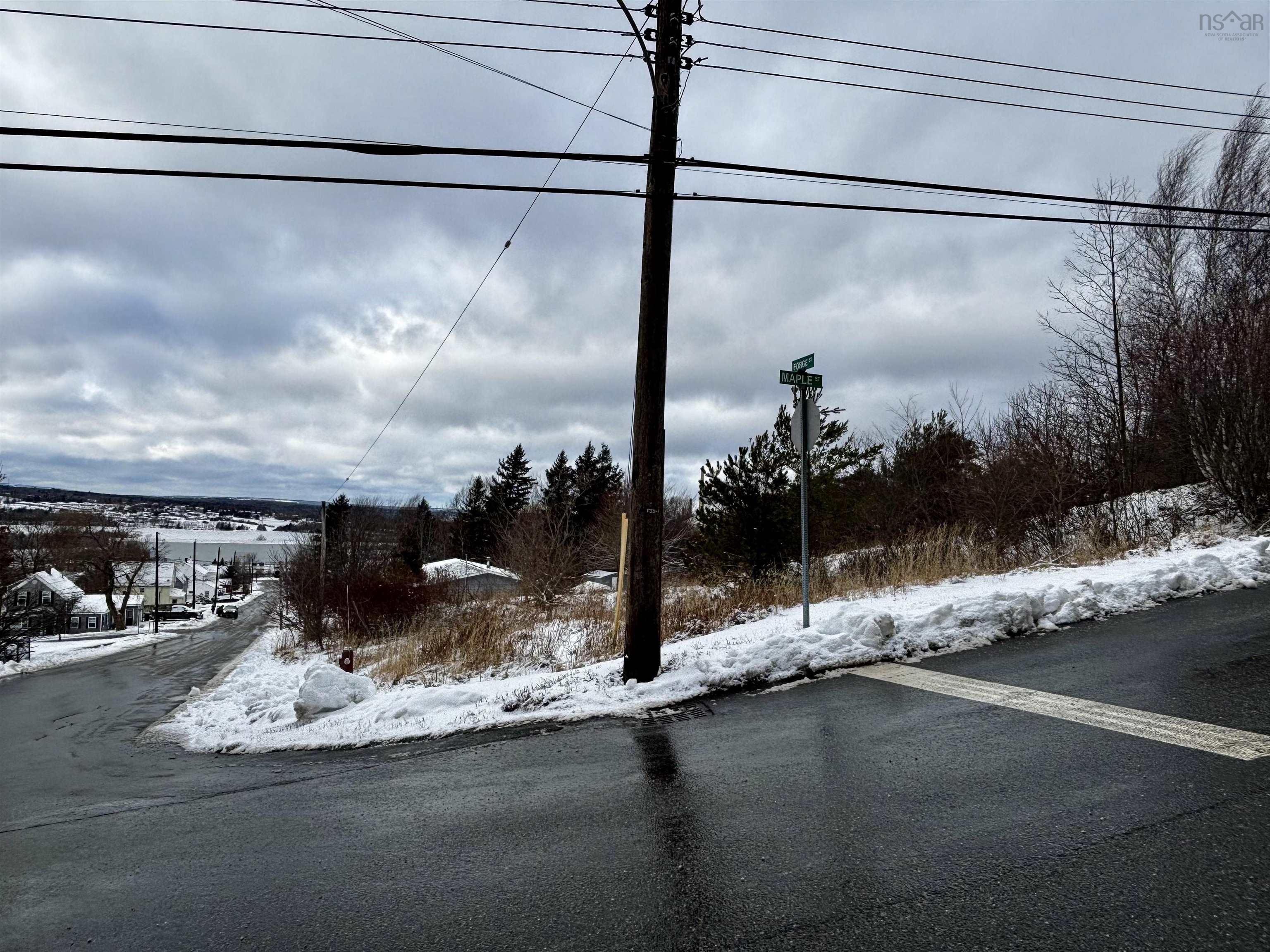 $35,000.00: Lot Forge Street, Trenton