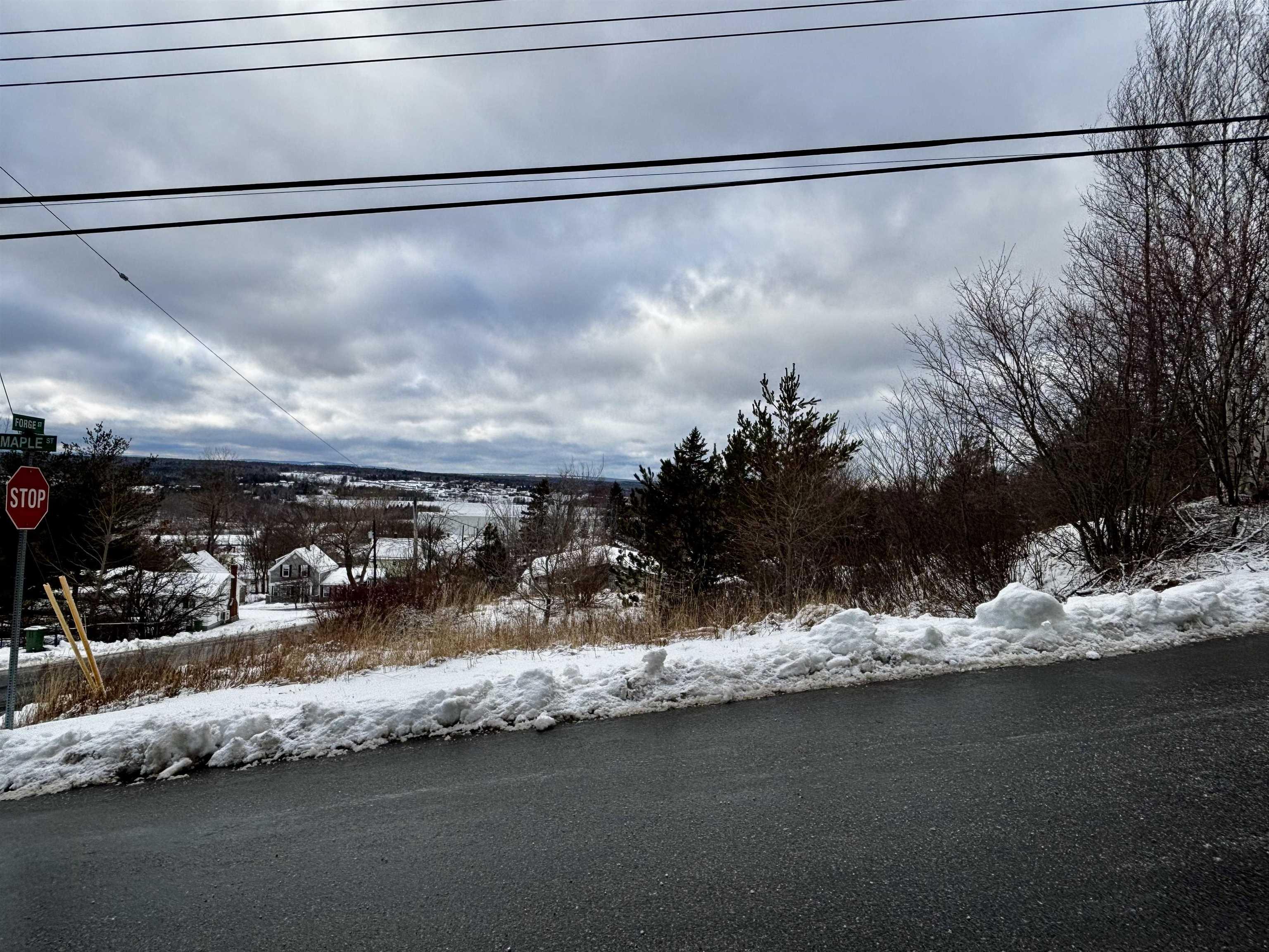 $35,000.00: Lot Forge Street, Trenton