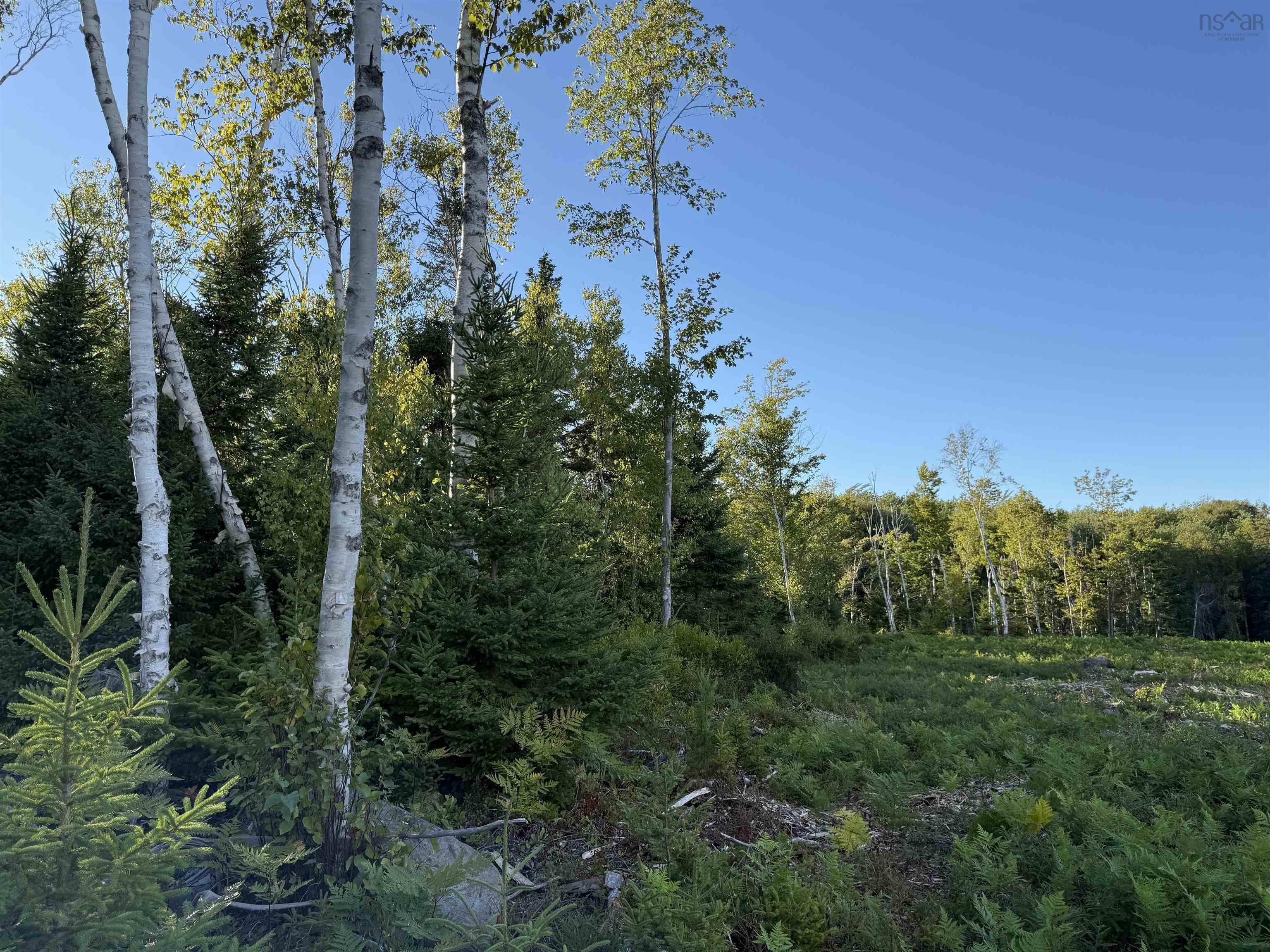 $299,900.00: Lot 1A Pictou Landing Road, Chance Harbour