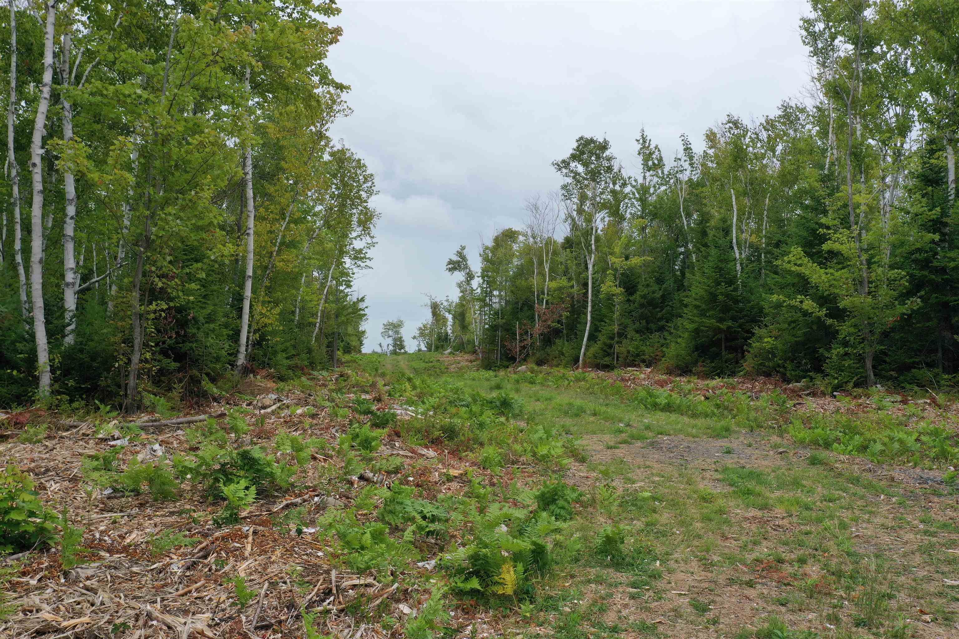 $299,900.00: Lot 1A Pictou Landing Road, Chance Harbour