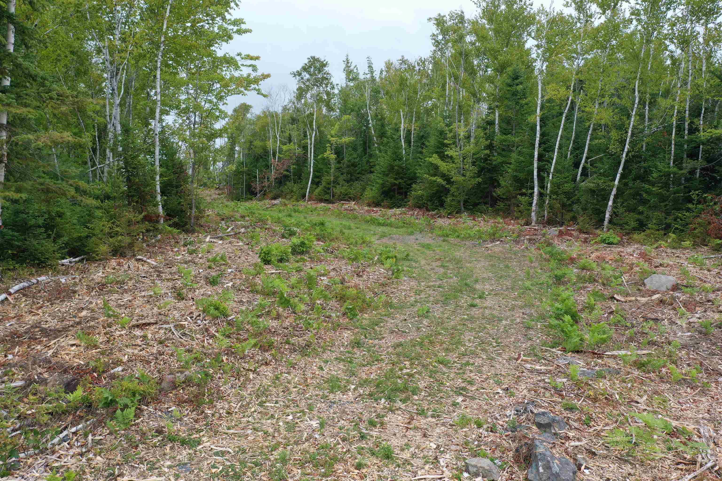 $299,900.00: Lot 1A Pictou Landing Road, Chance Harbour