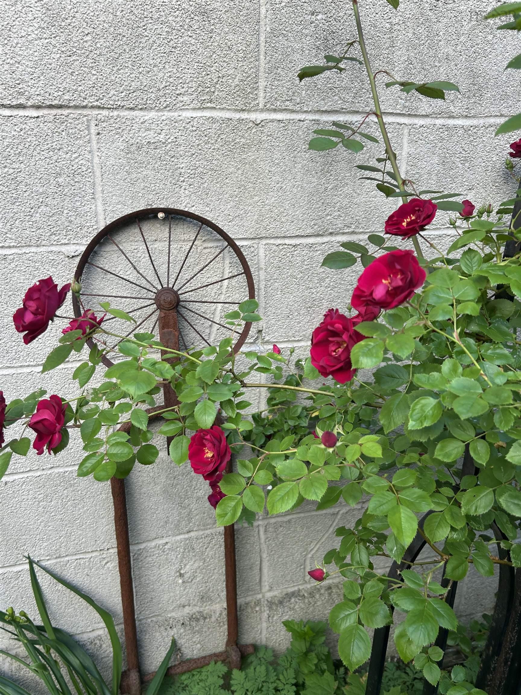 5523 Sebastian Pl, Halifax, NS (MLS 202600823)