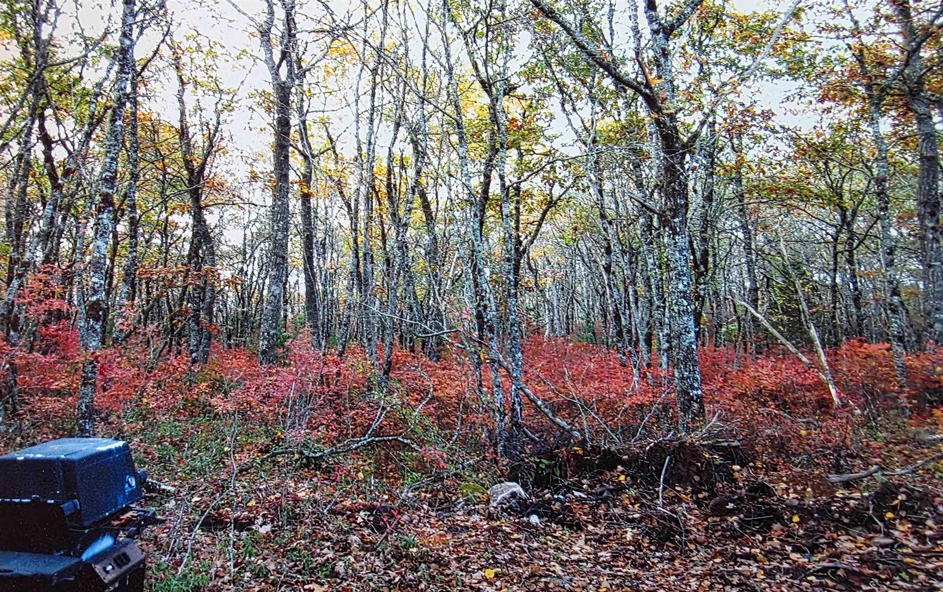 $159,000.00: M-1 & 2 Old Shore Road, Churchover