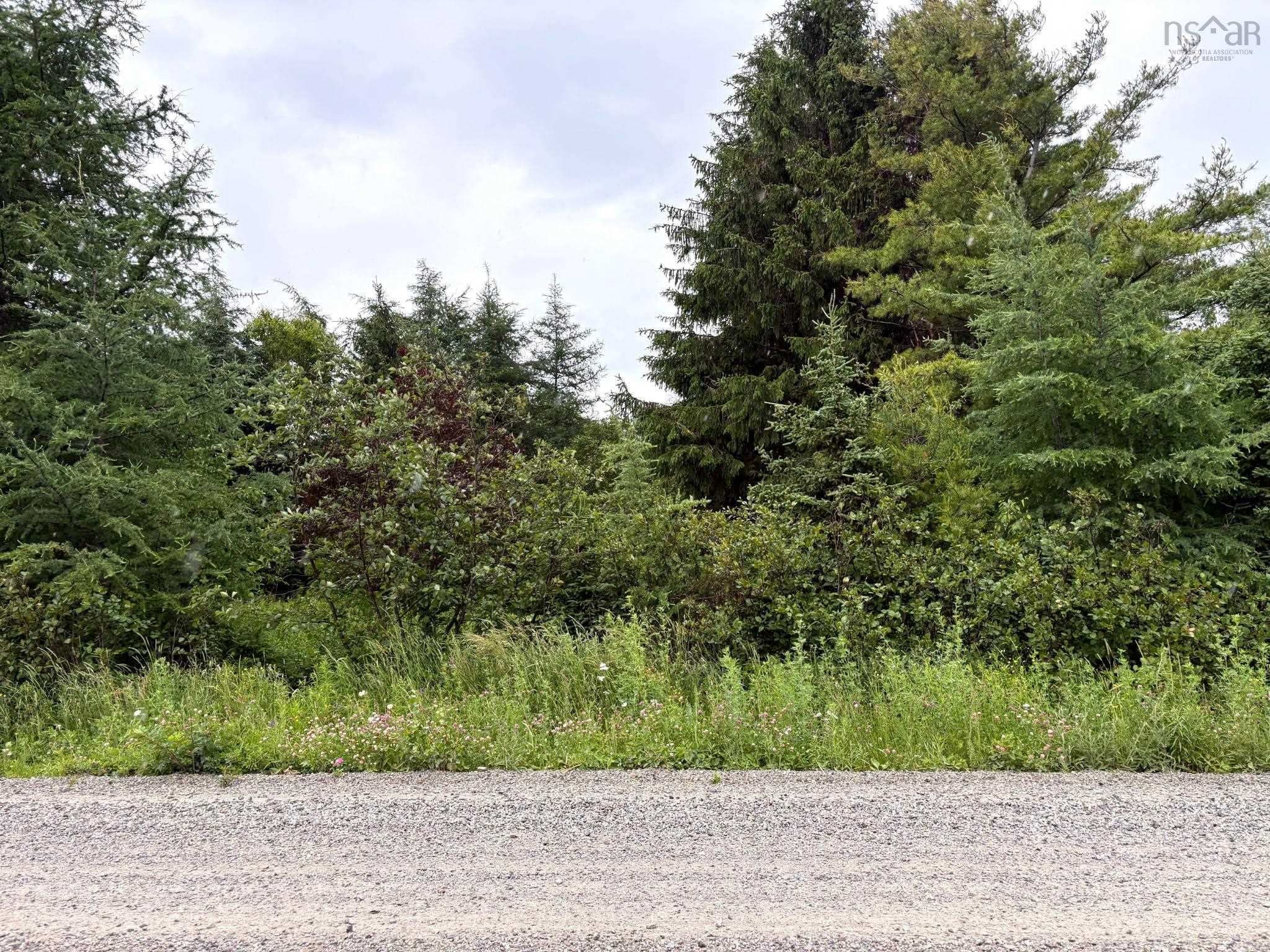 $29,900.00: Upper Southwest Mabou Road, Glencoe Station