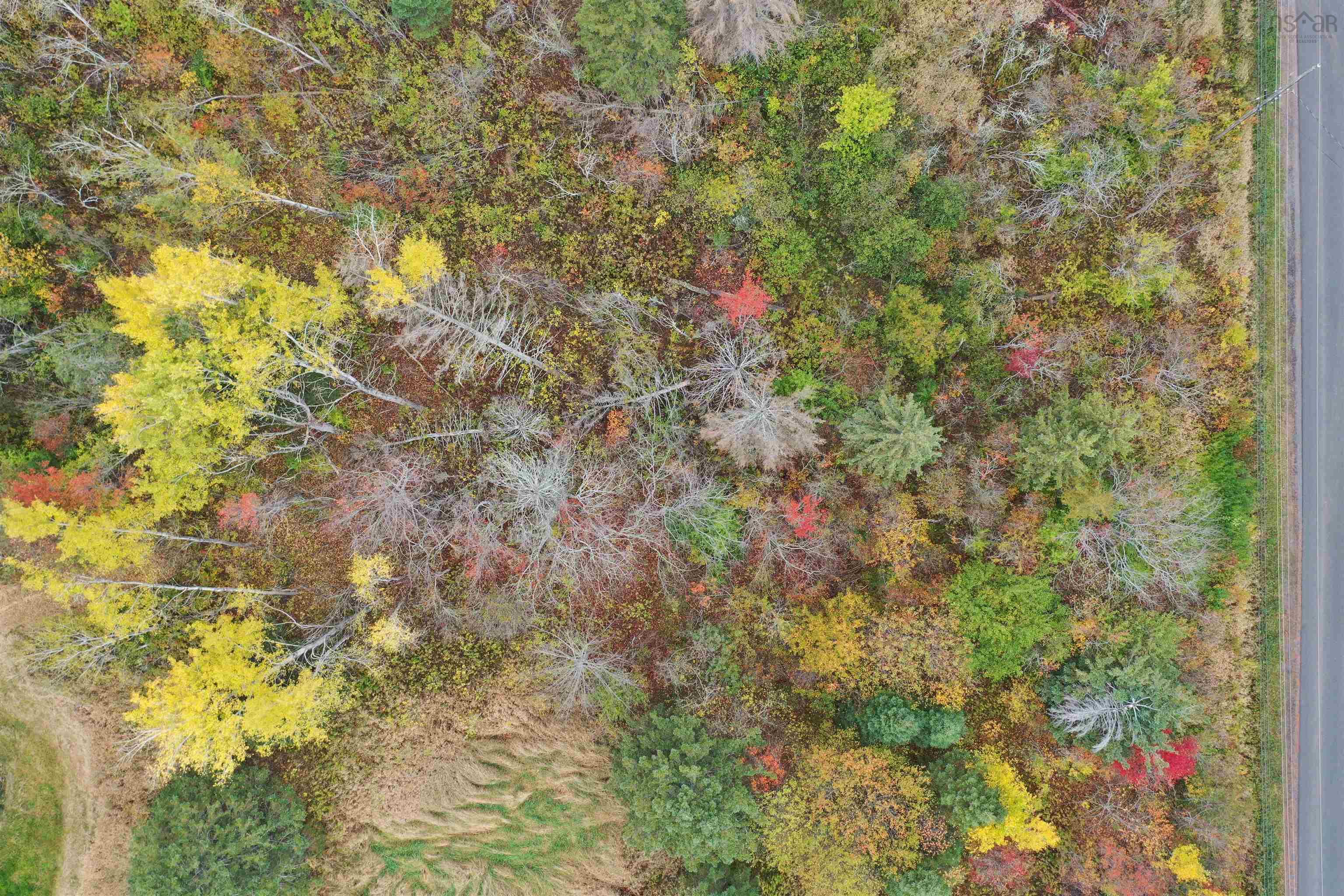 $39,900.00: Lot Greenhill Road, Greenhill