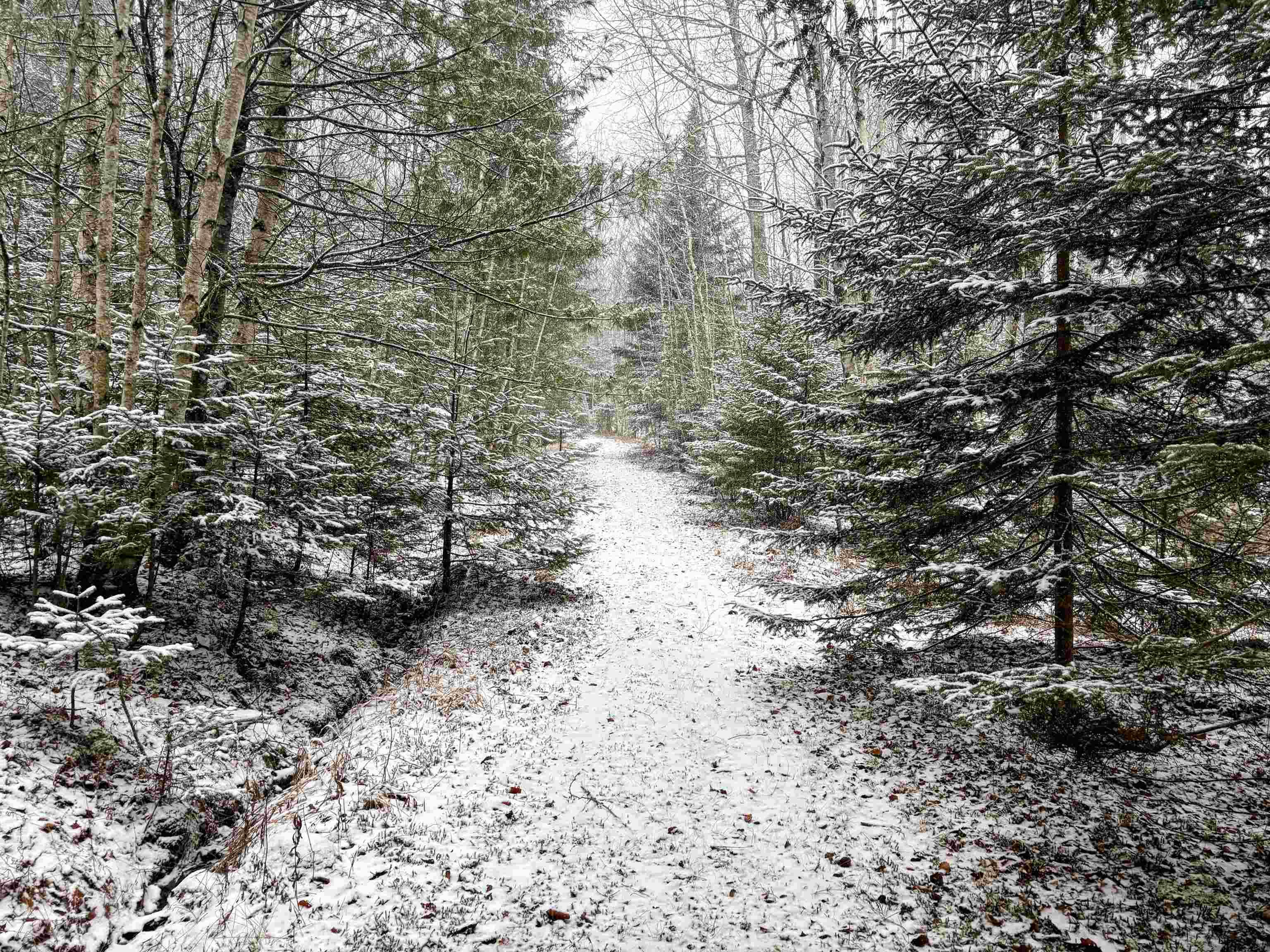 $799,900.00: 4058 Highway 325, Newcombville